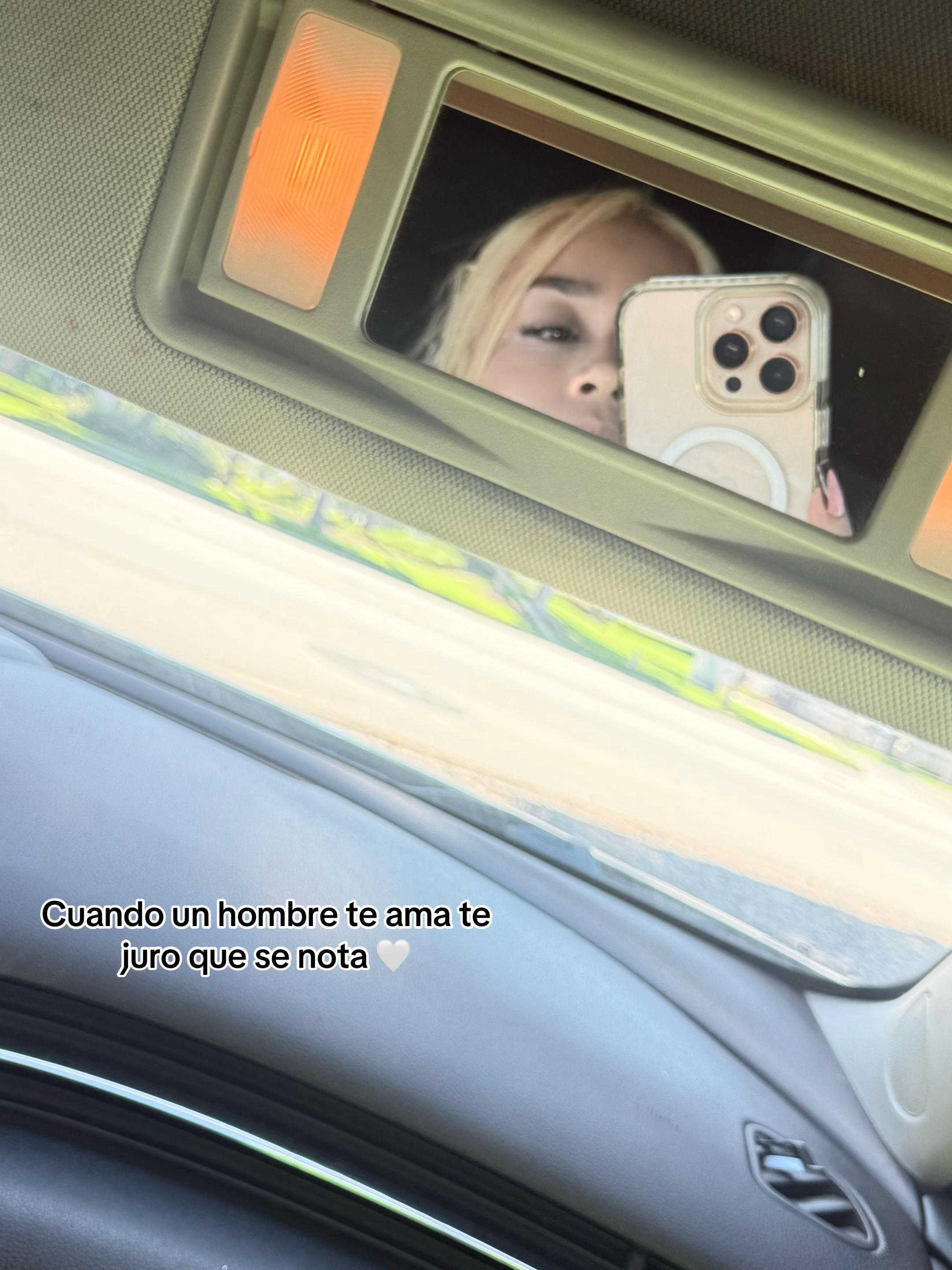 @Diana Lara.