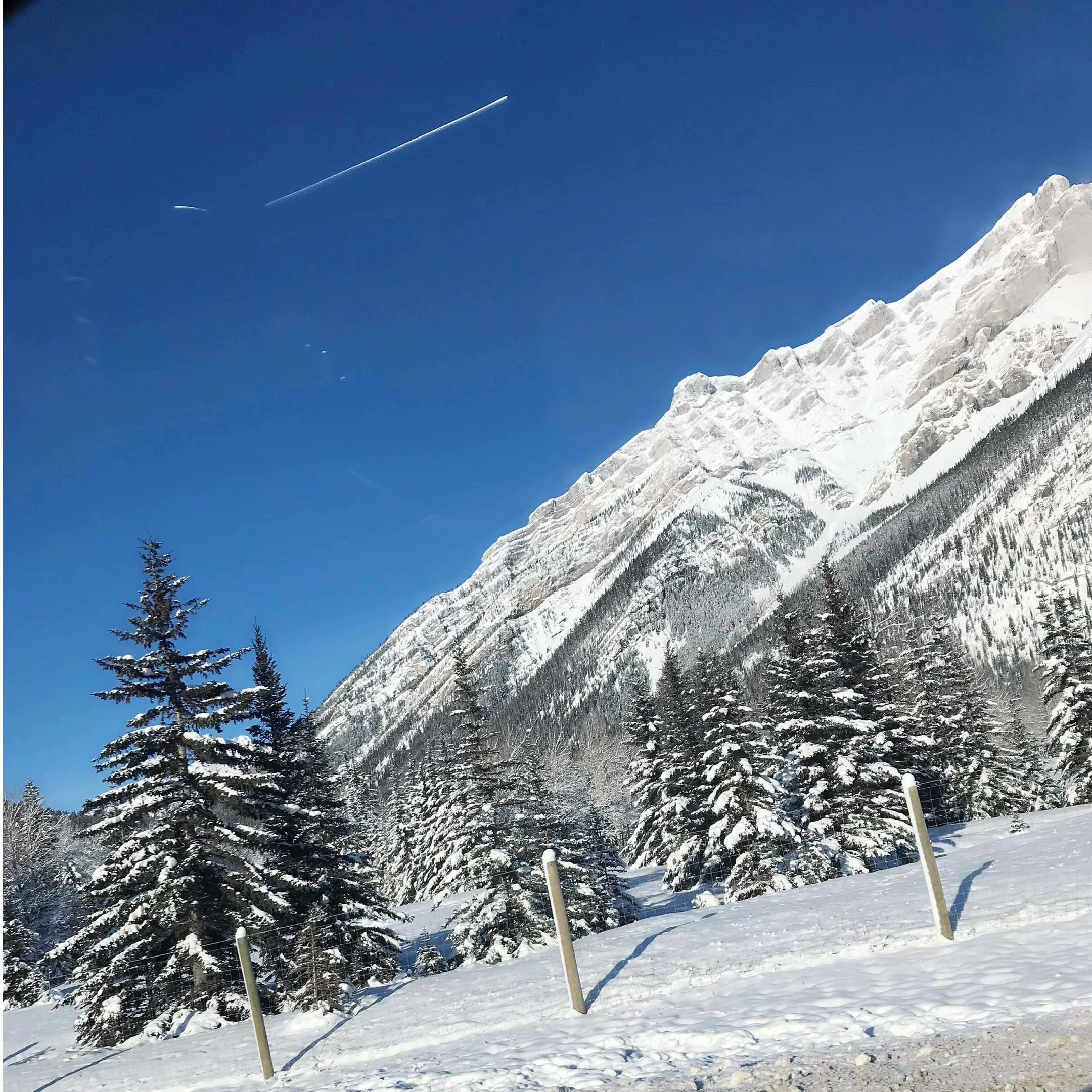 @Mr.Raj बाबु 🇨🇦🇨🇦