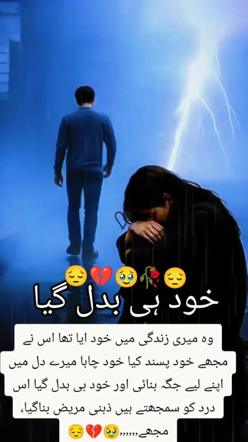 @Hassan Hussain💞