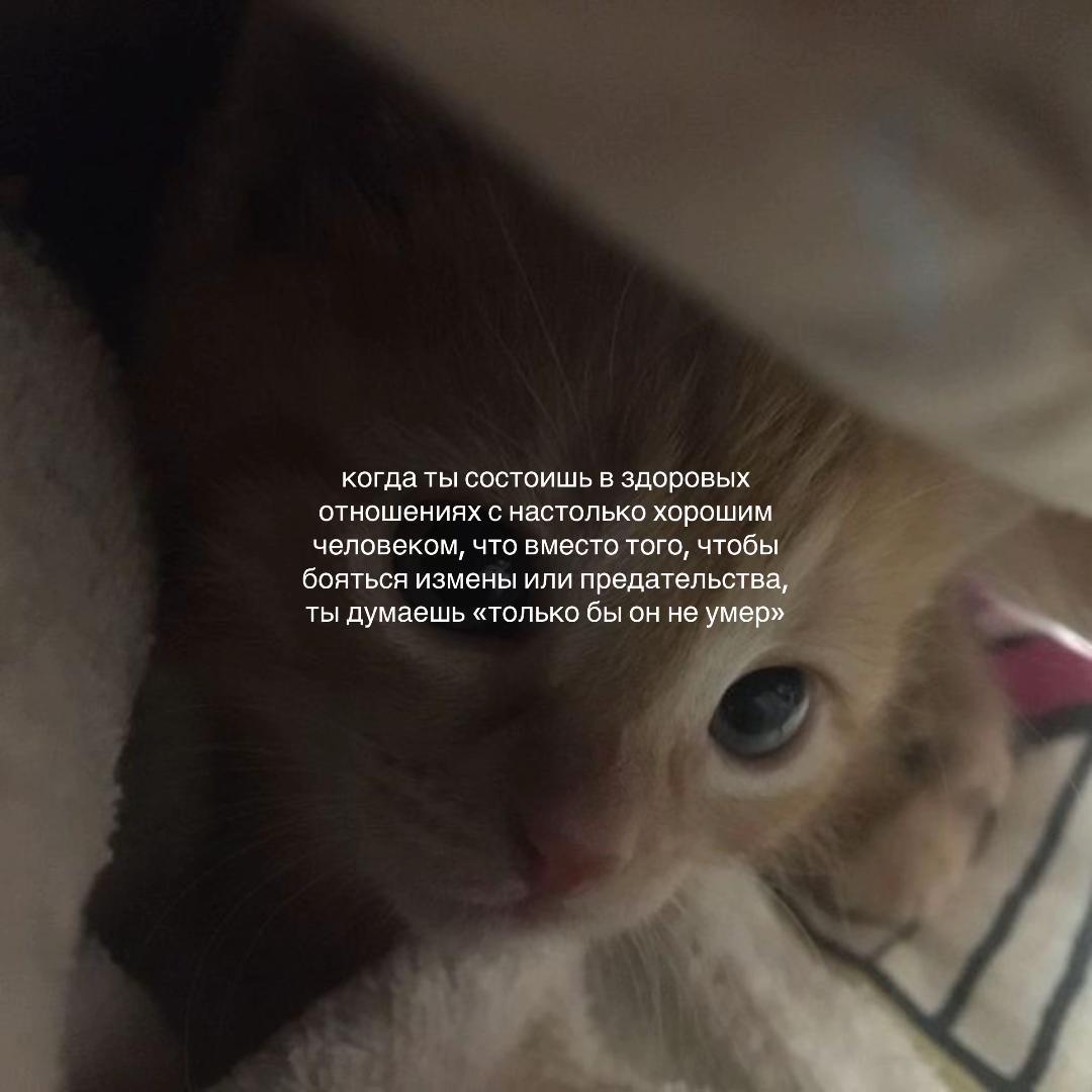 @leksa⋆౨ৎ˚⟡