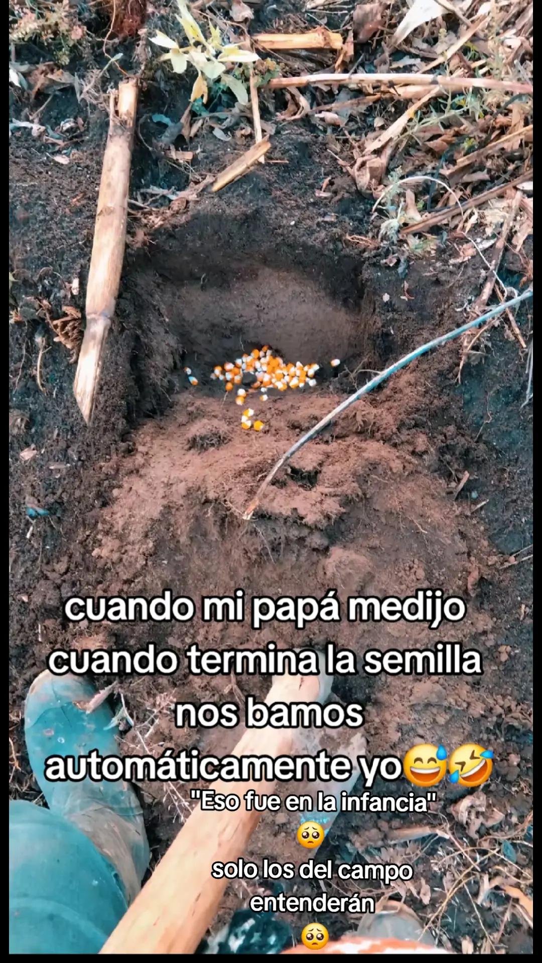 @🩵Luii502🩵🐬👨&zwj;🌾