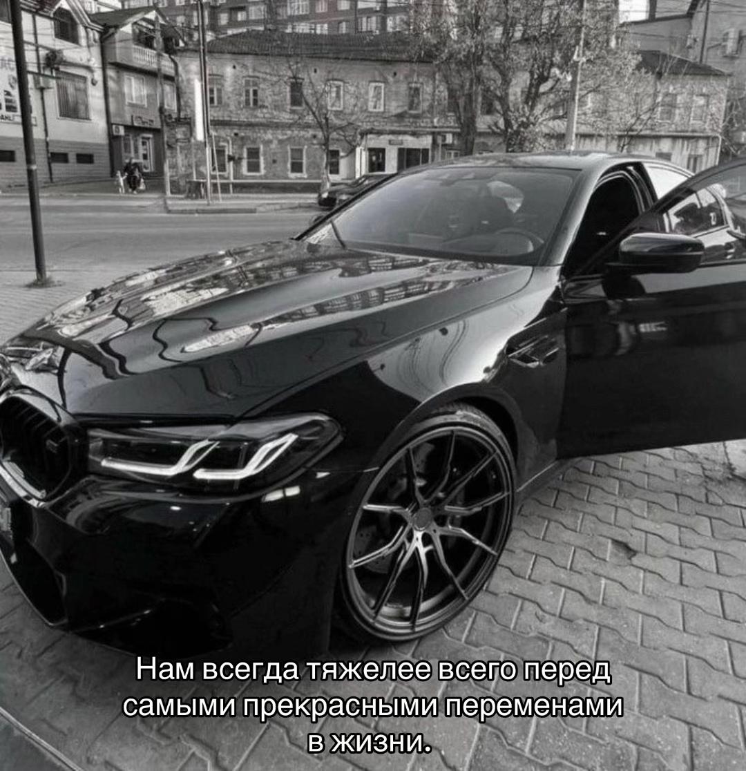 @777_koshka_777_