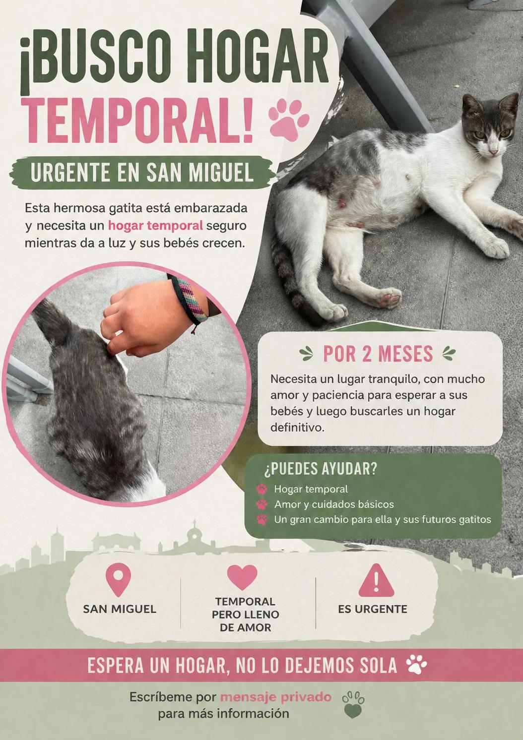 @Encuentra tu Michi