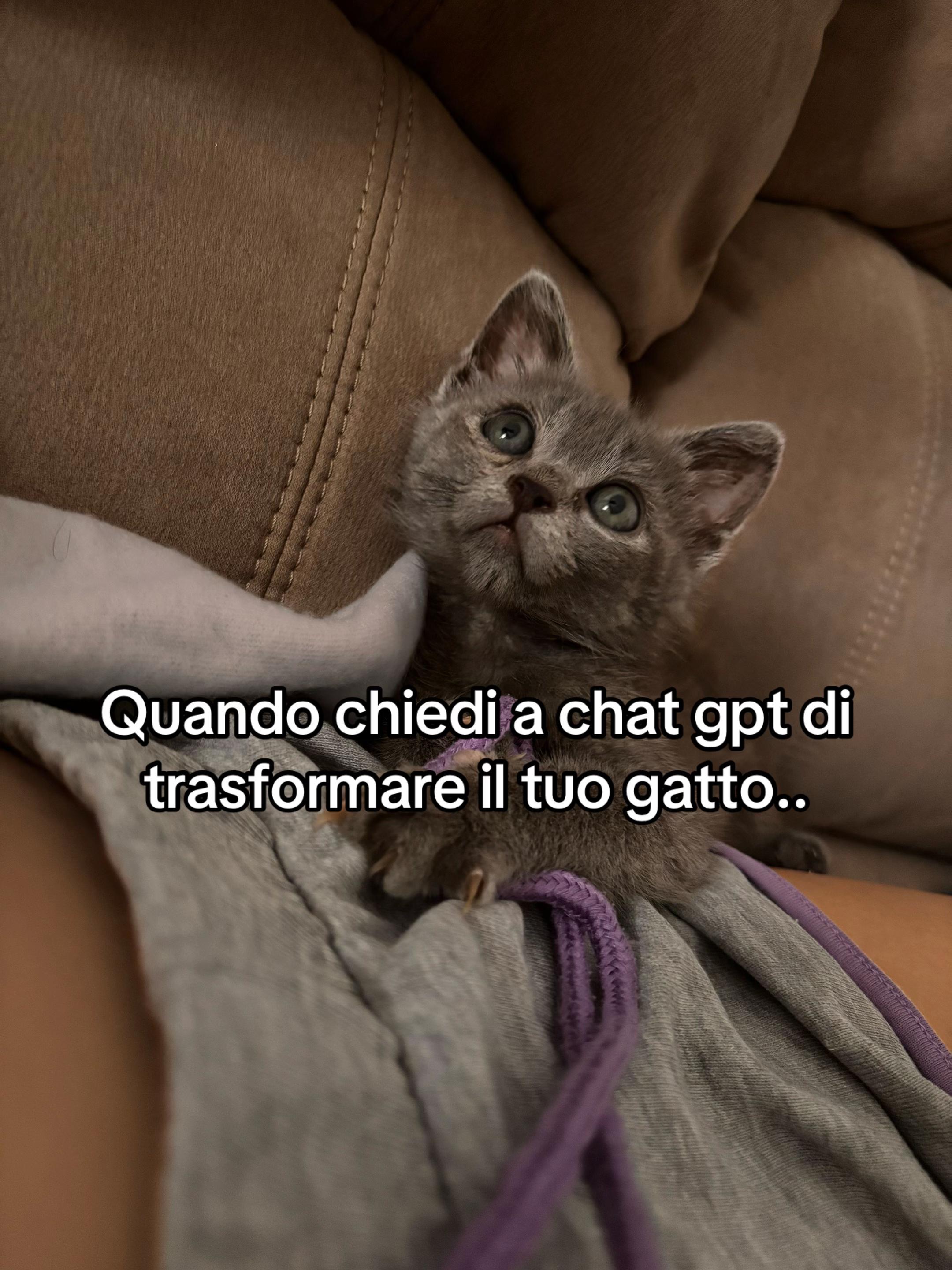 @Naomi 🌙