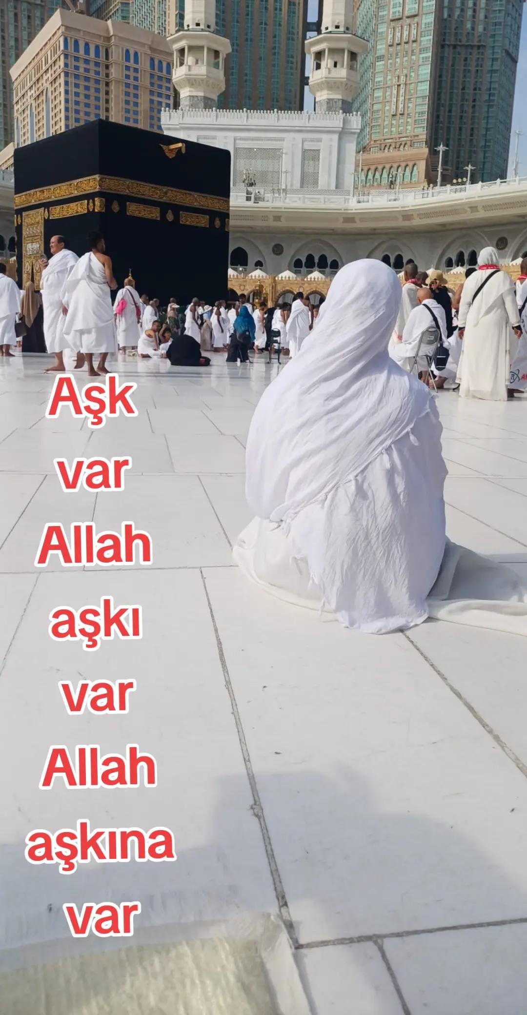 @alfa #esen#61