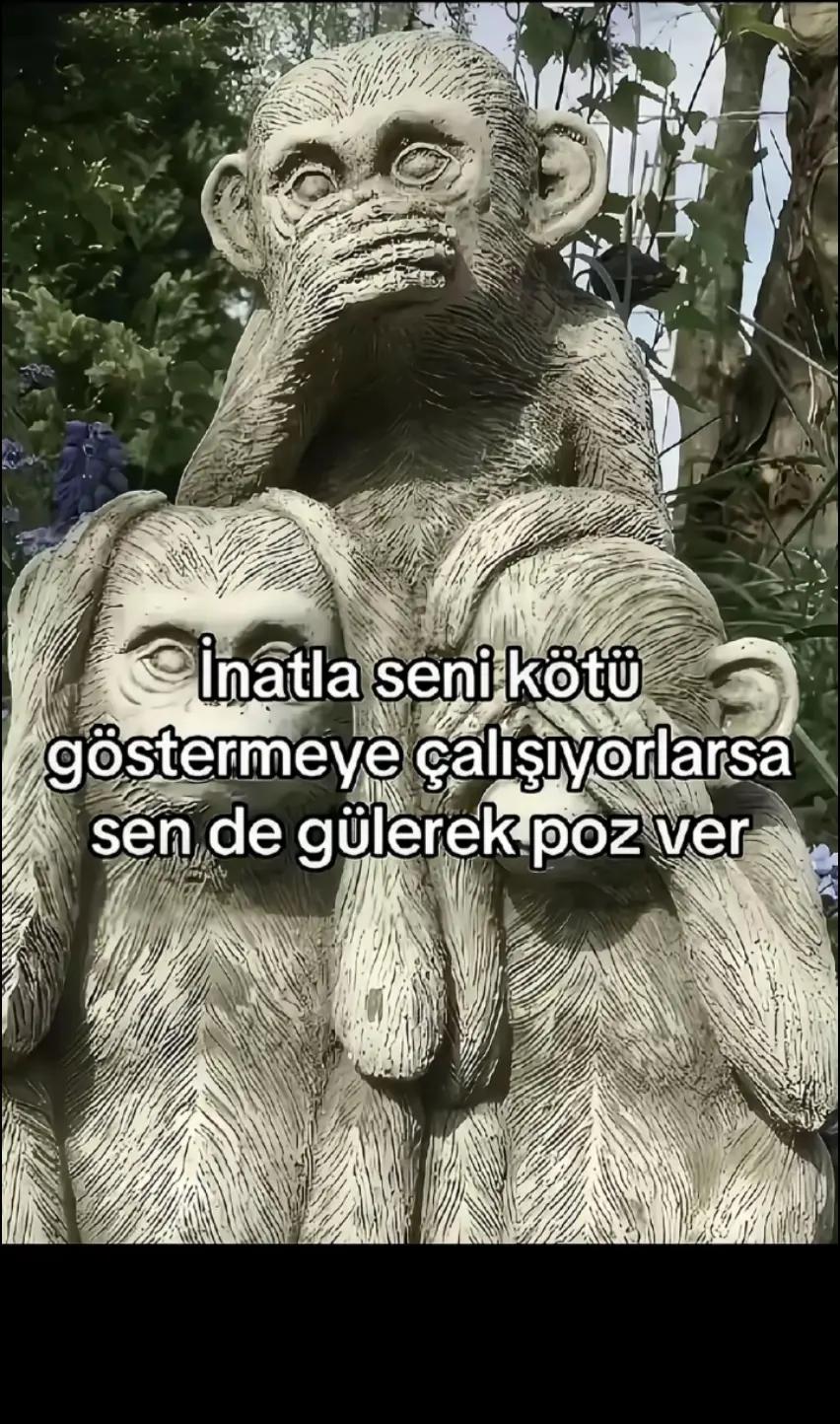 @𝑨𝒍𝒊𝒔̧