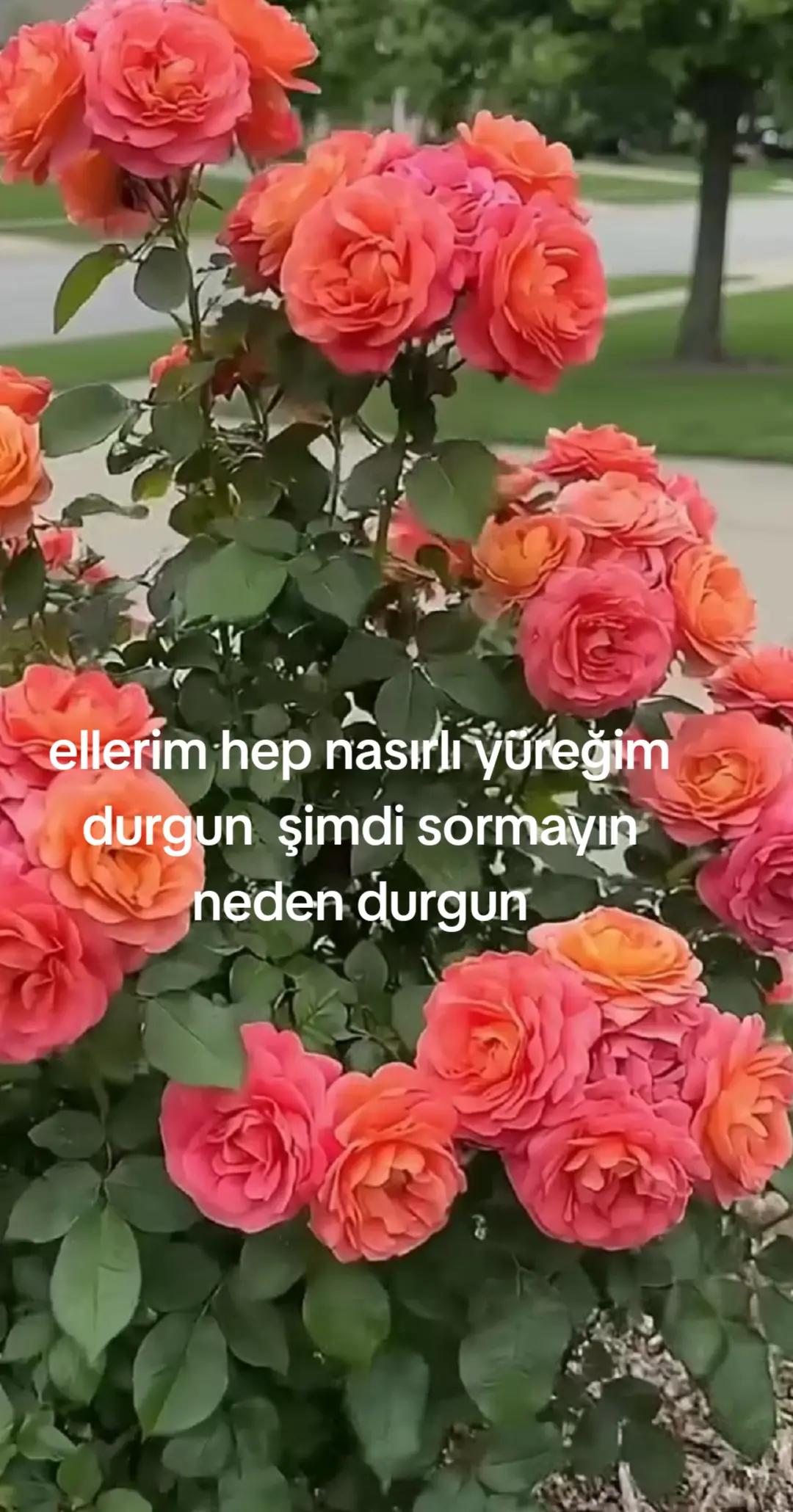 @Karako&ccedil;