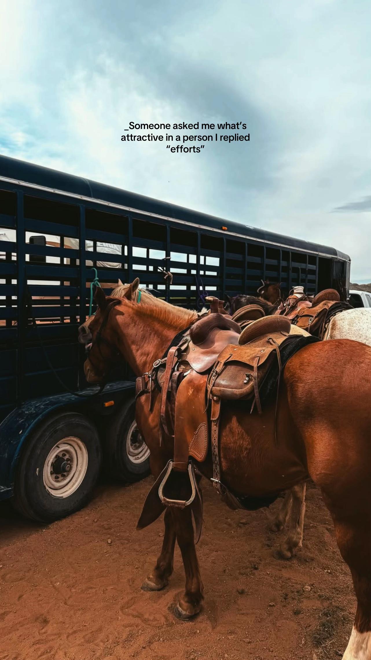 @۵ب🚩۰