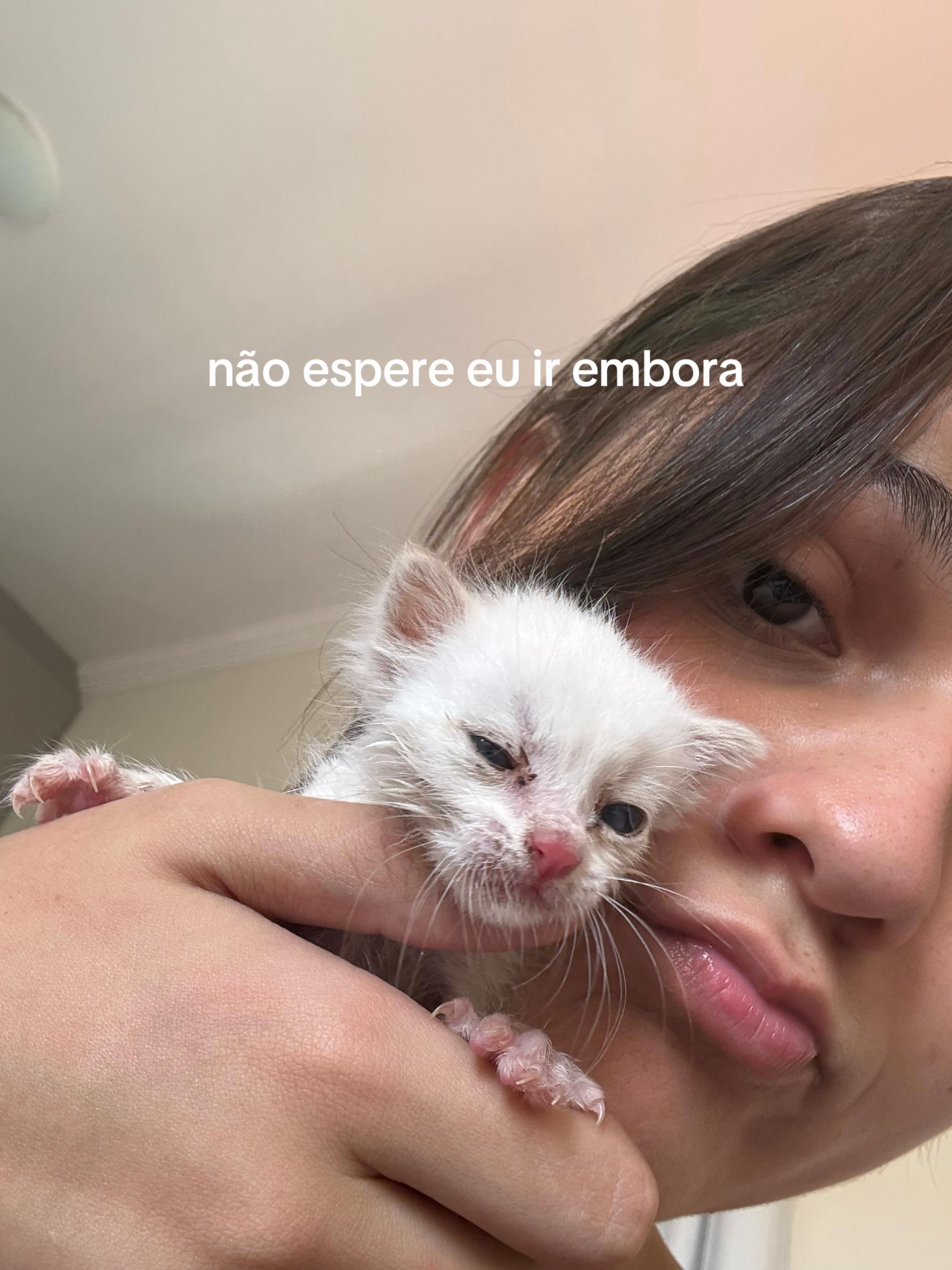 @ju