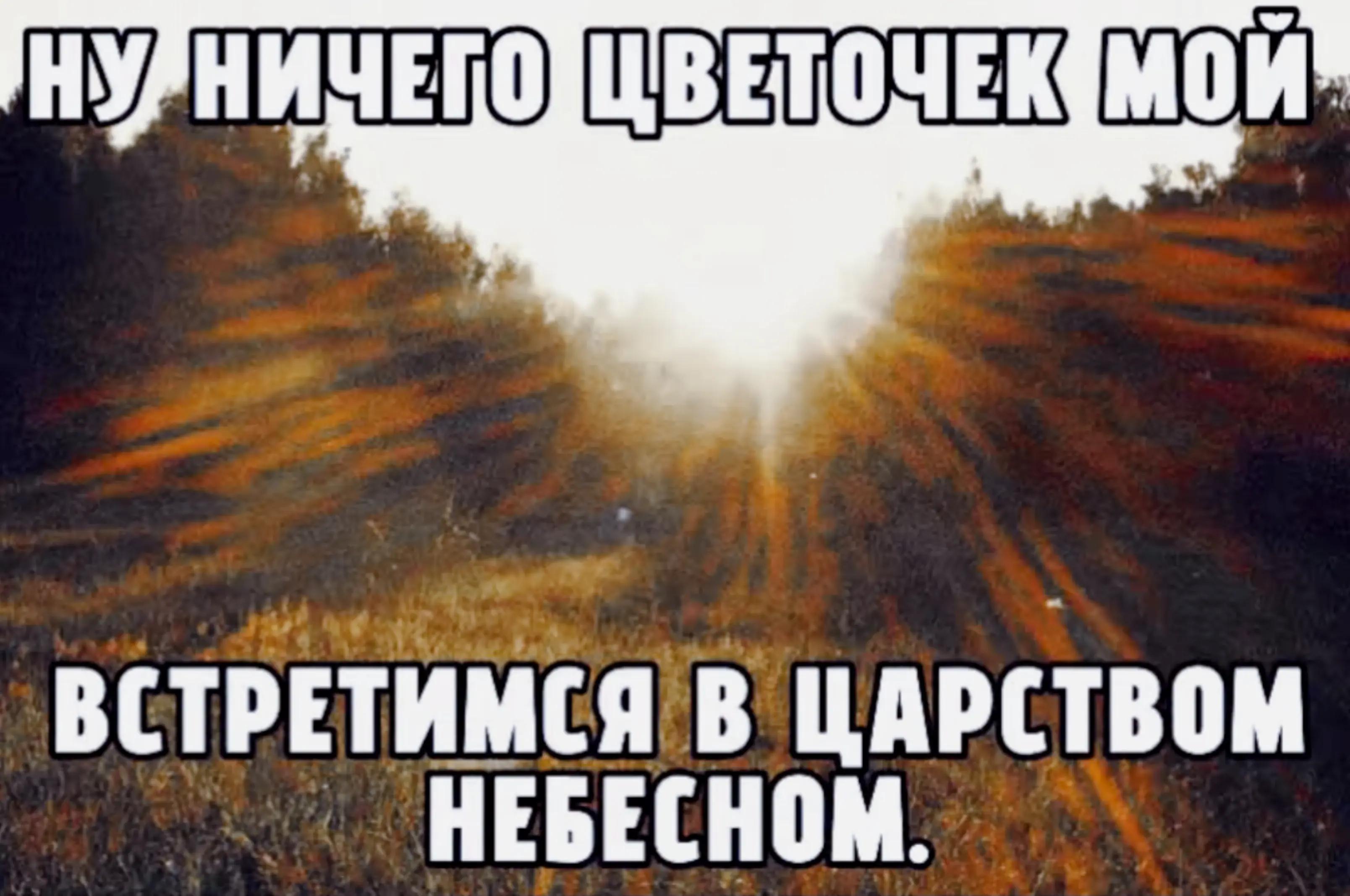 @Hund Von Togliatti.