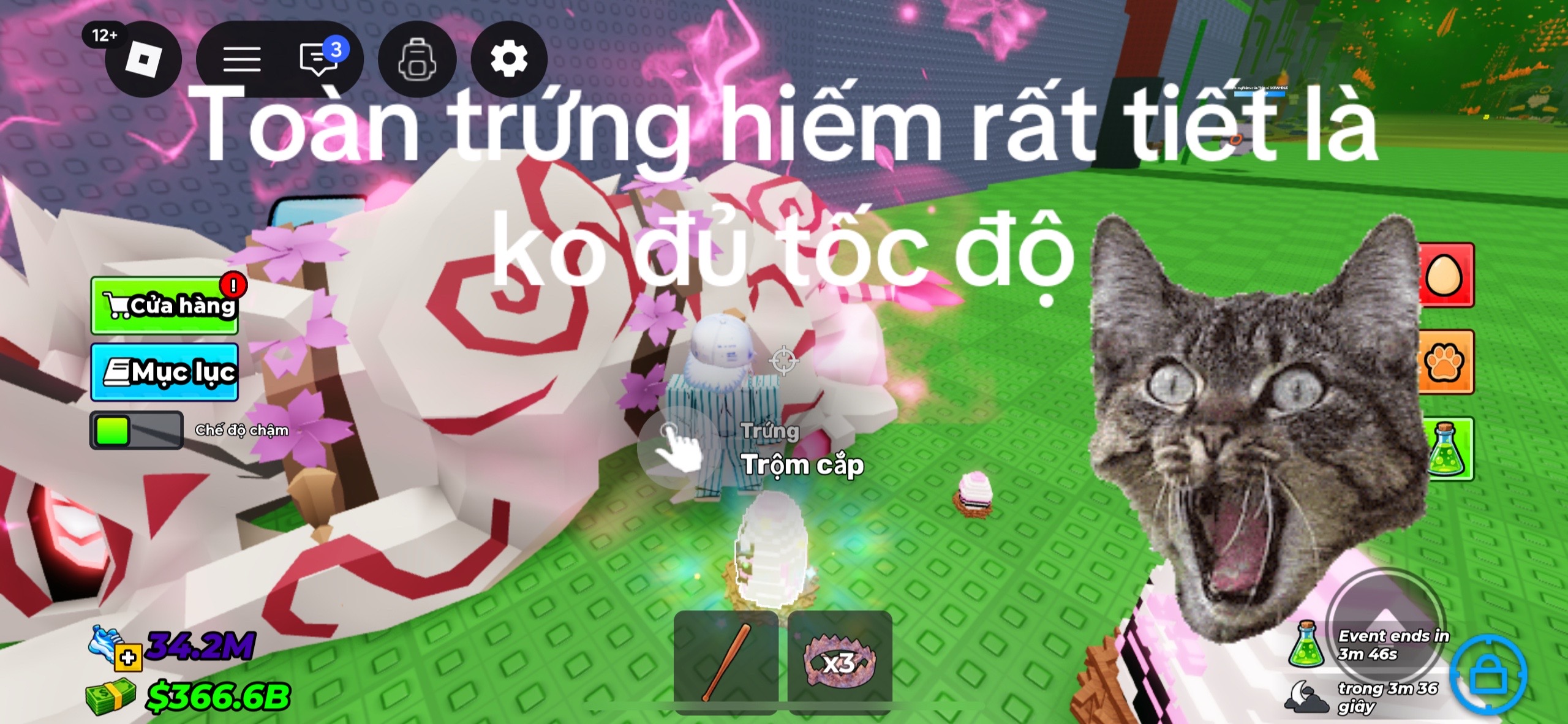 @lâm roblox 👑