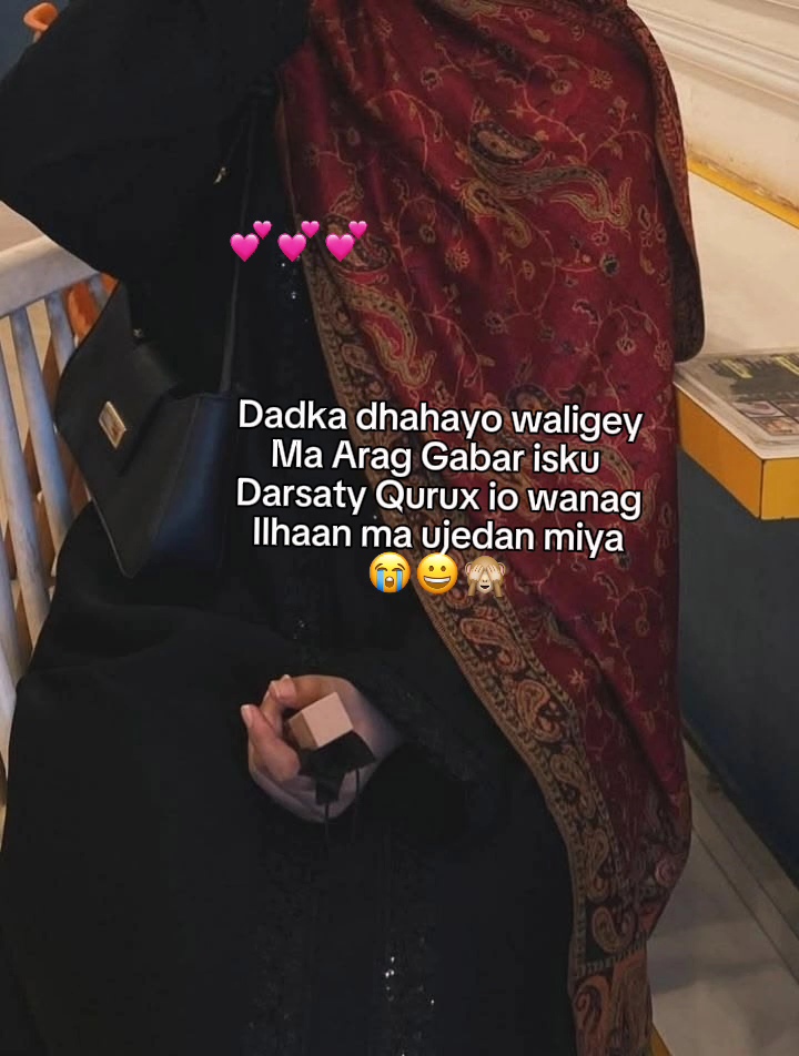 @ilhaan🕷💕