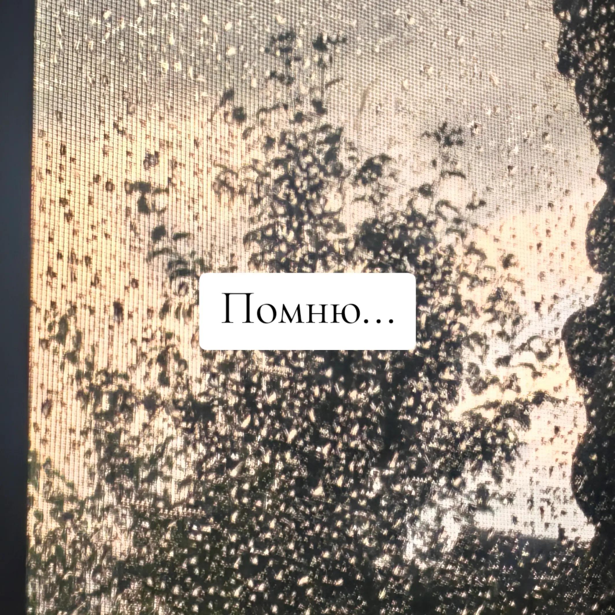@๐๐ผ๐๐๐ธ