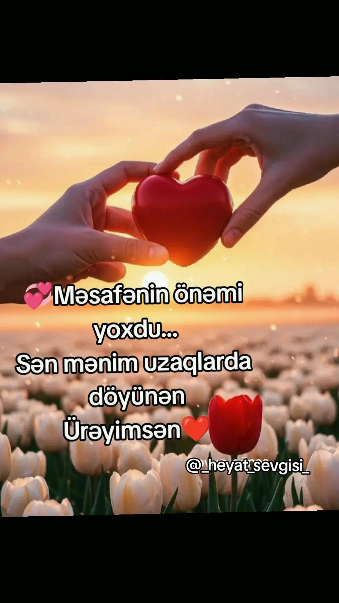 @💖✨