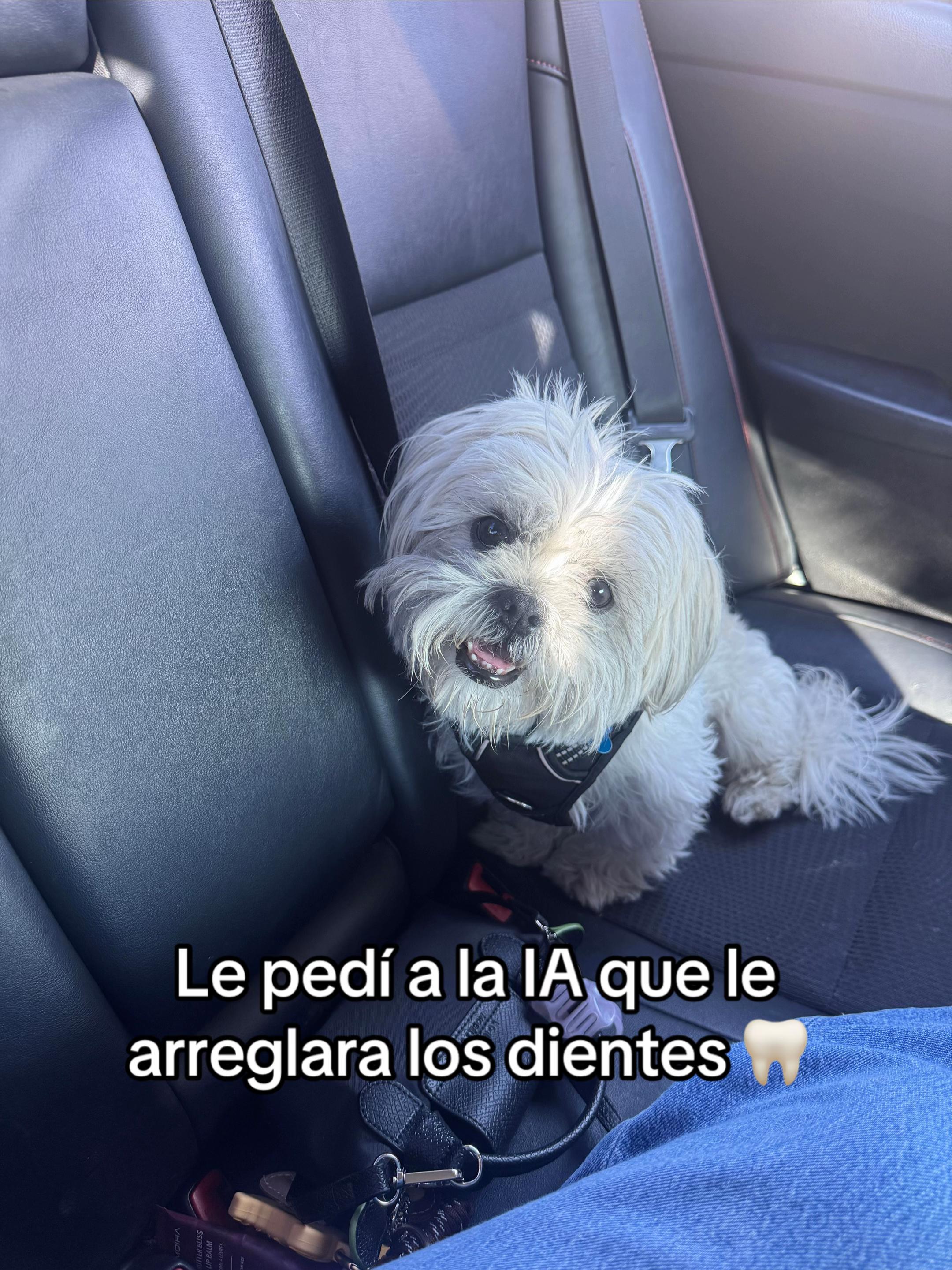 @Andrea Maestro