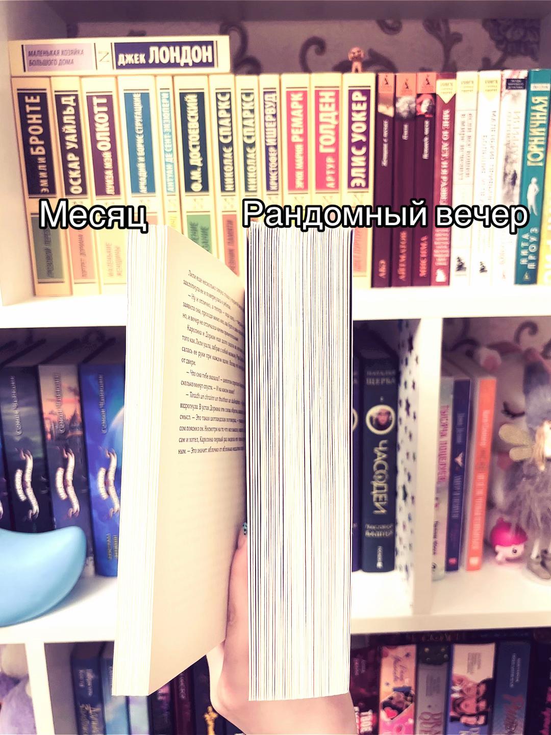 @TheBookishNook