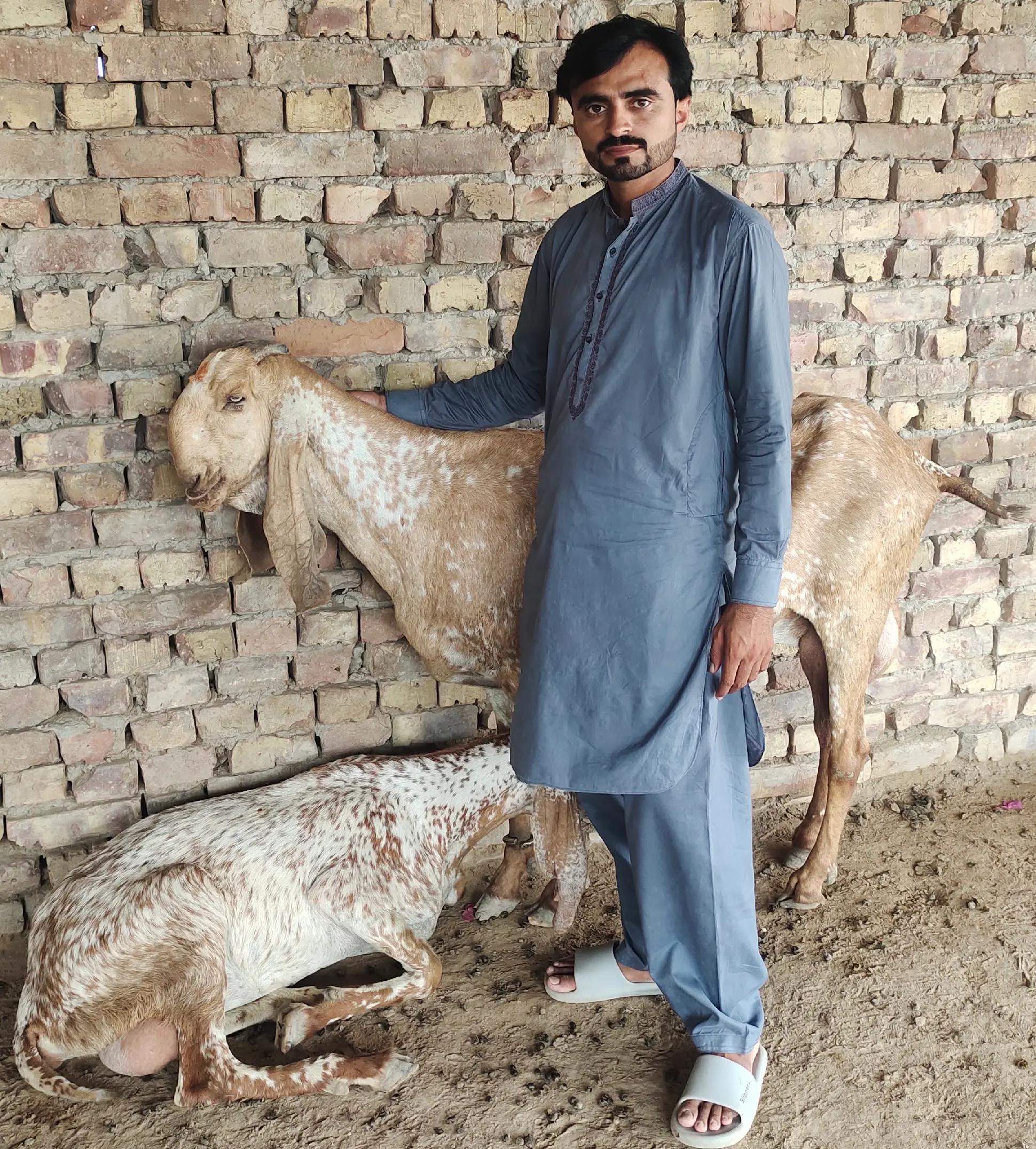 @۔جو مرضی کر لو آخر موت ہے۔