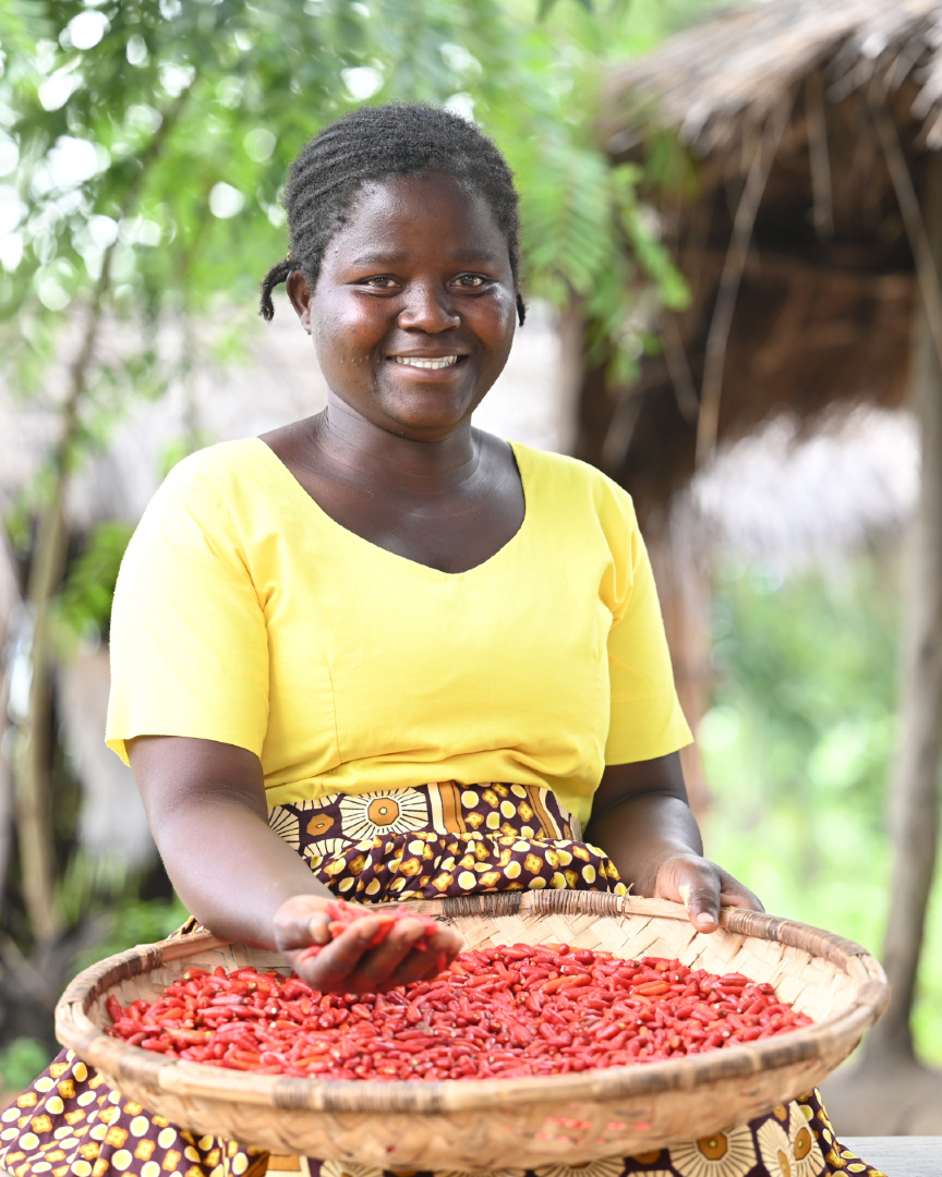 @OneAcreFund.org