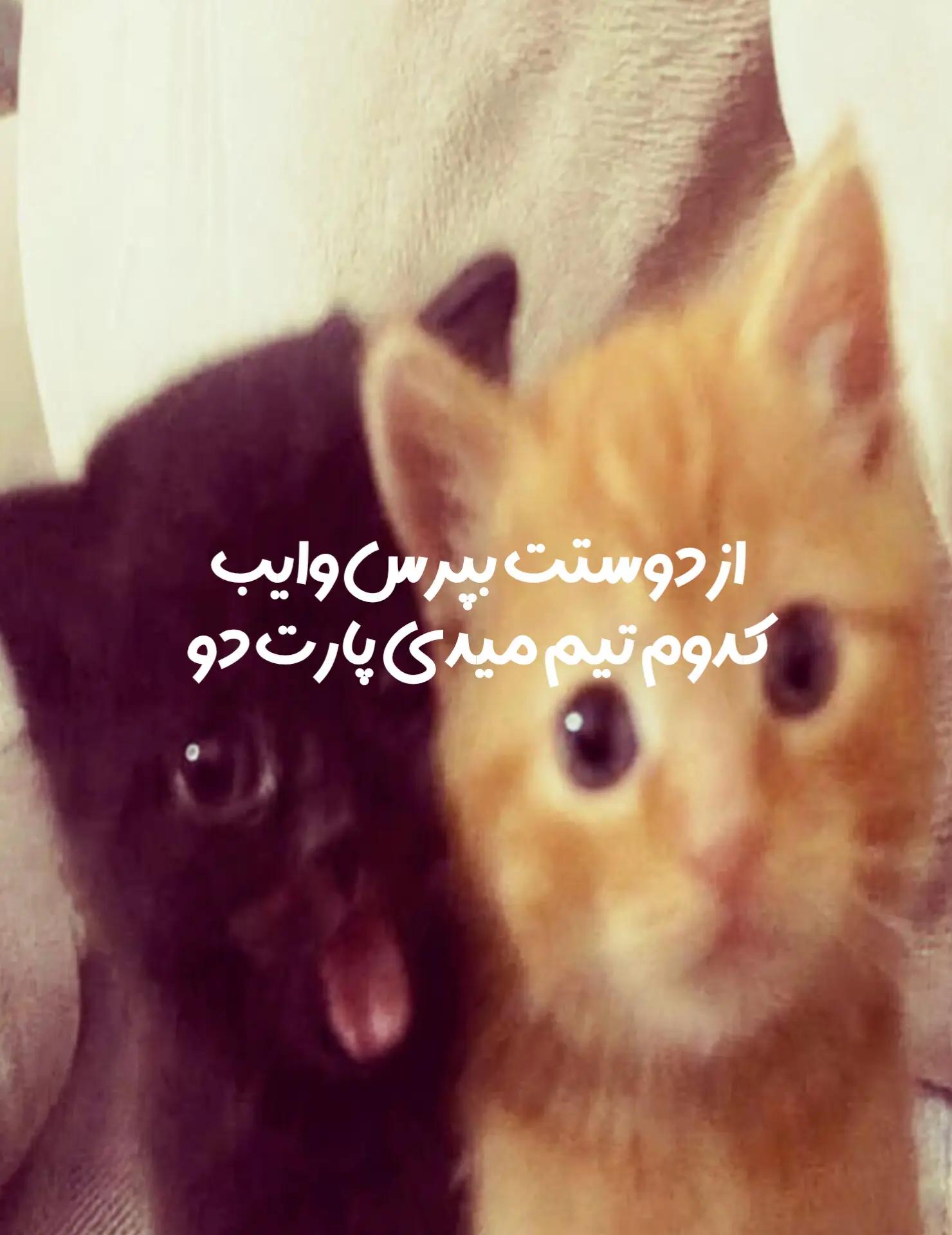 @𝘵𝘳𝘦𝘯𝘥𝘺 🌟&dagger;