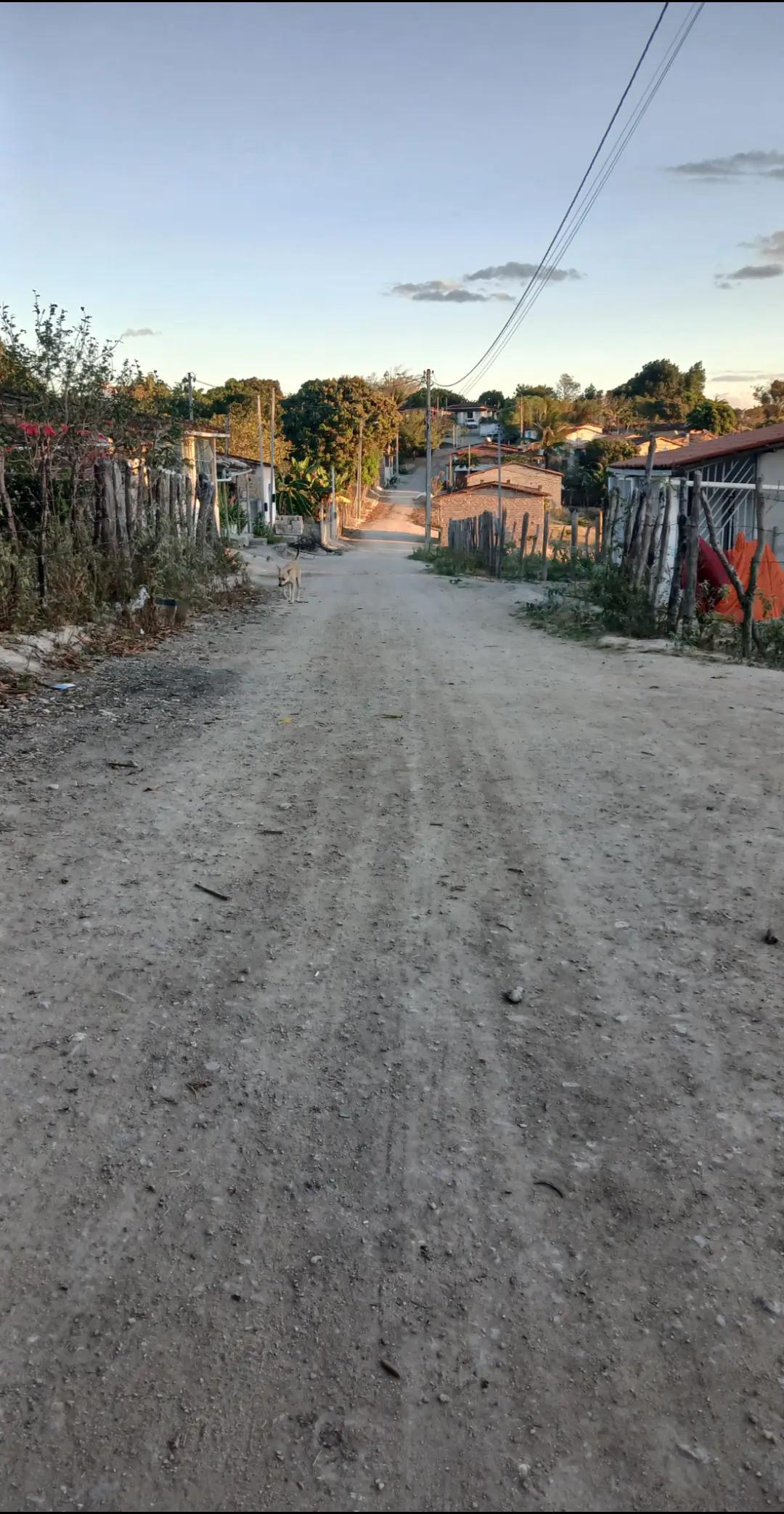 @Poliana Barbosa