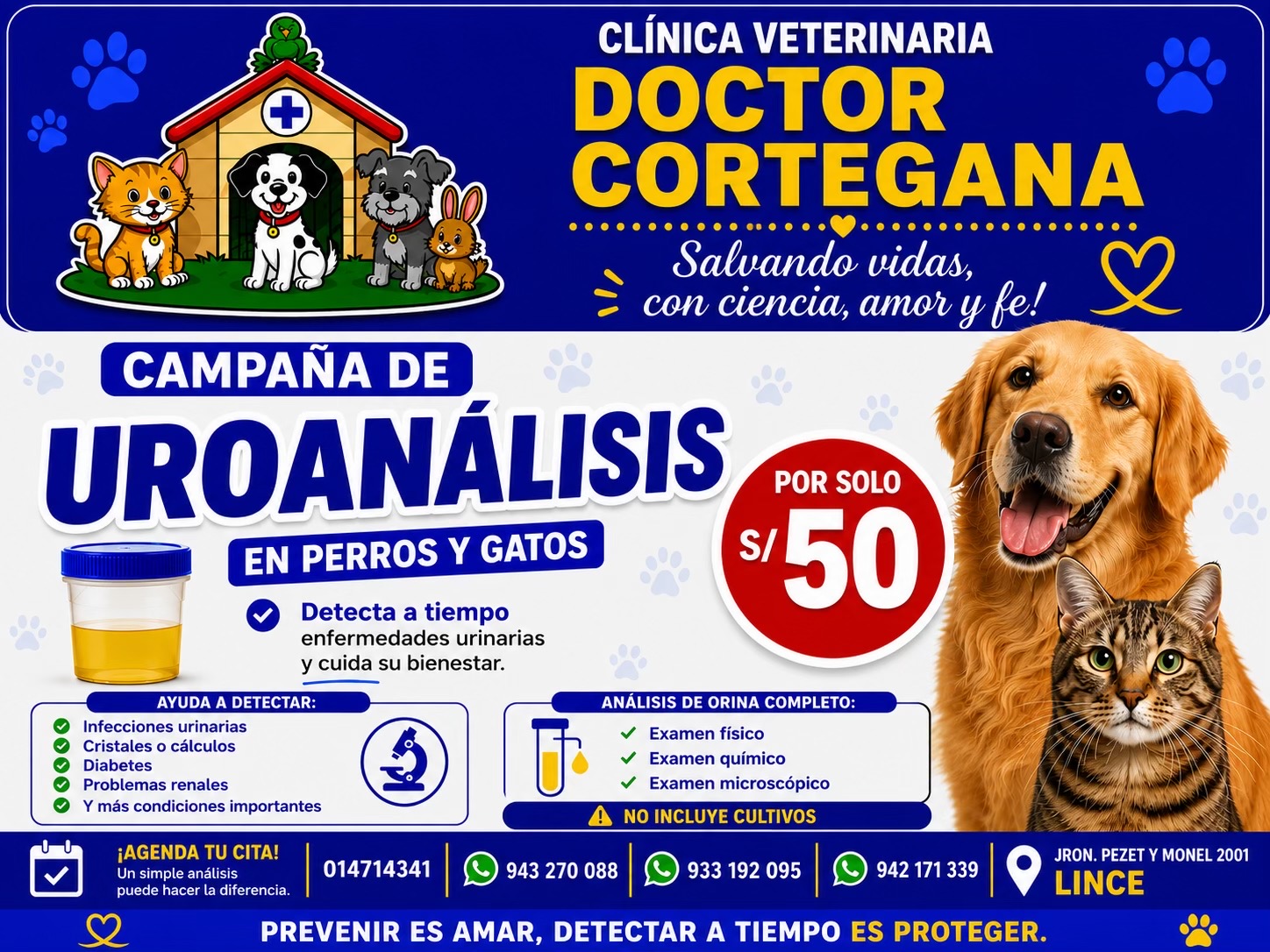 @VETERINARIA DR. CORTEGANA