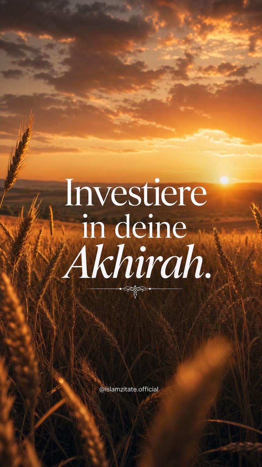 @Islam Zitate