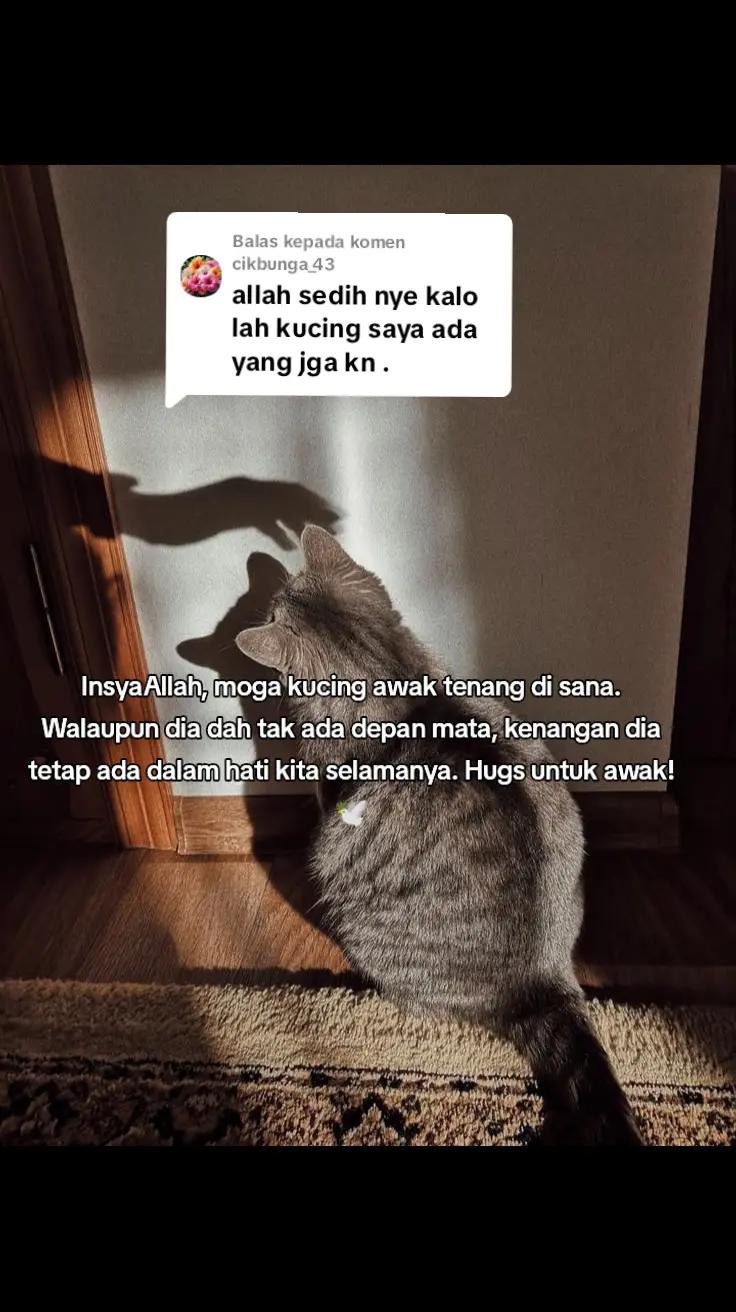 @Pecinta Kucing