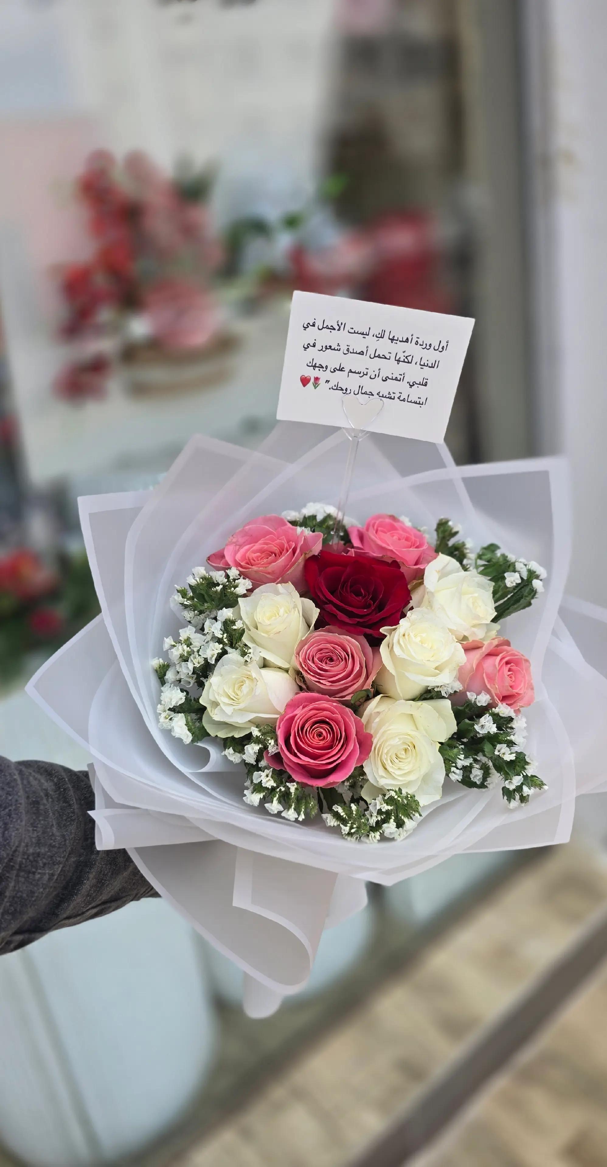 @مندوب ابها