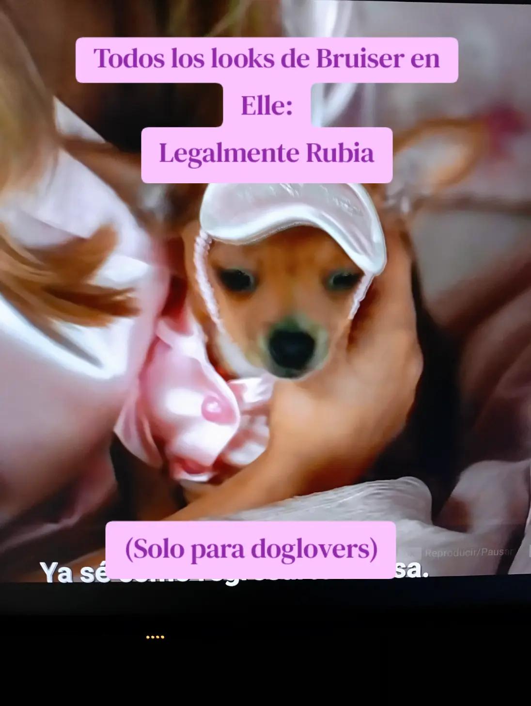 @ChicaNetflix