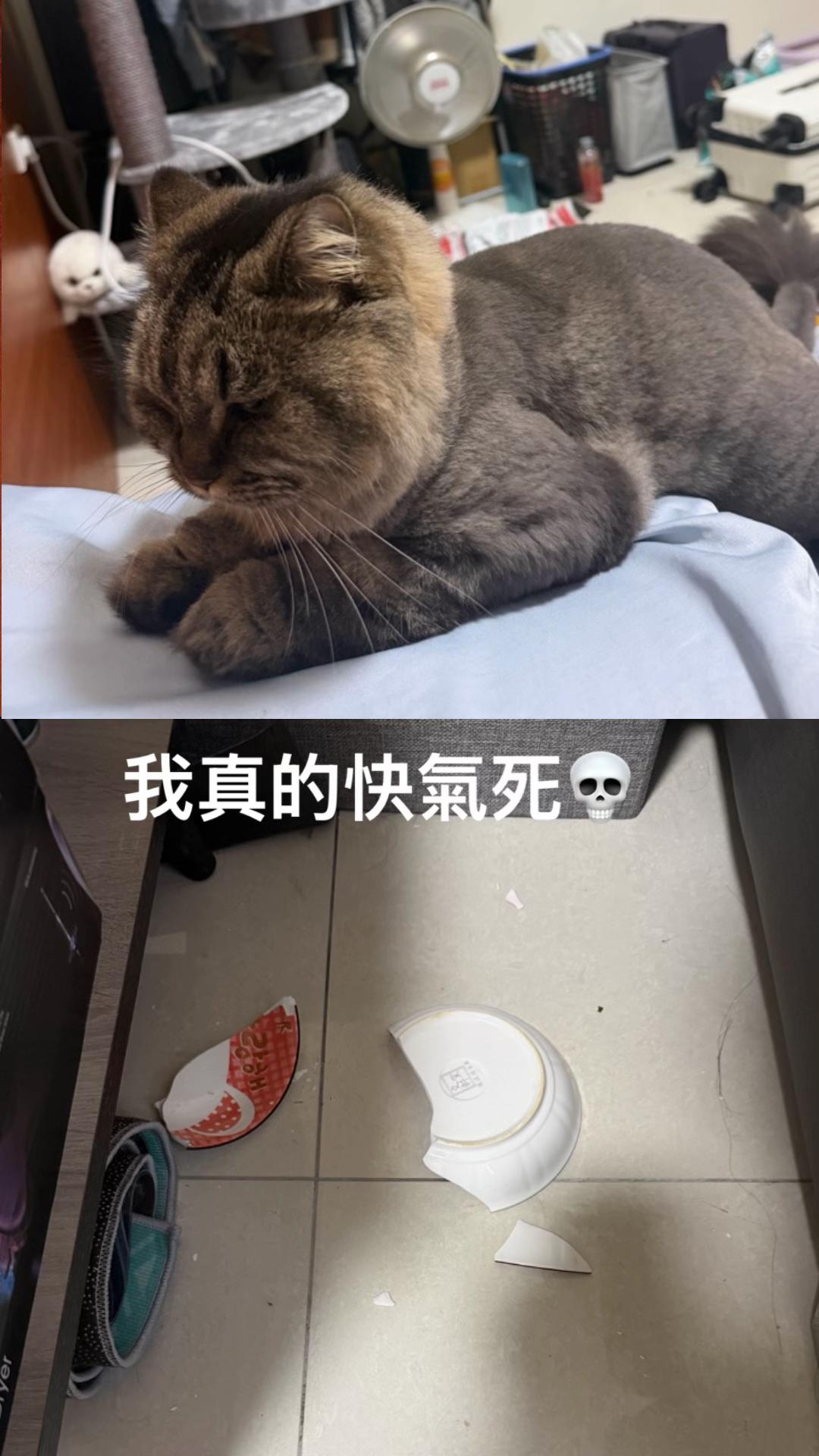 @野球コーチ