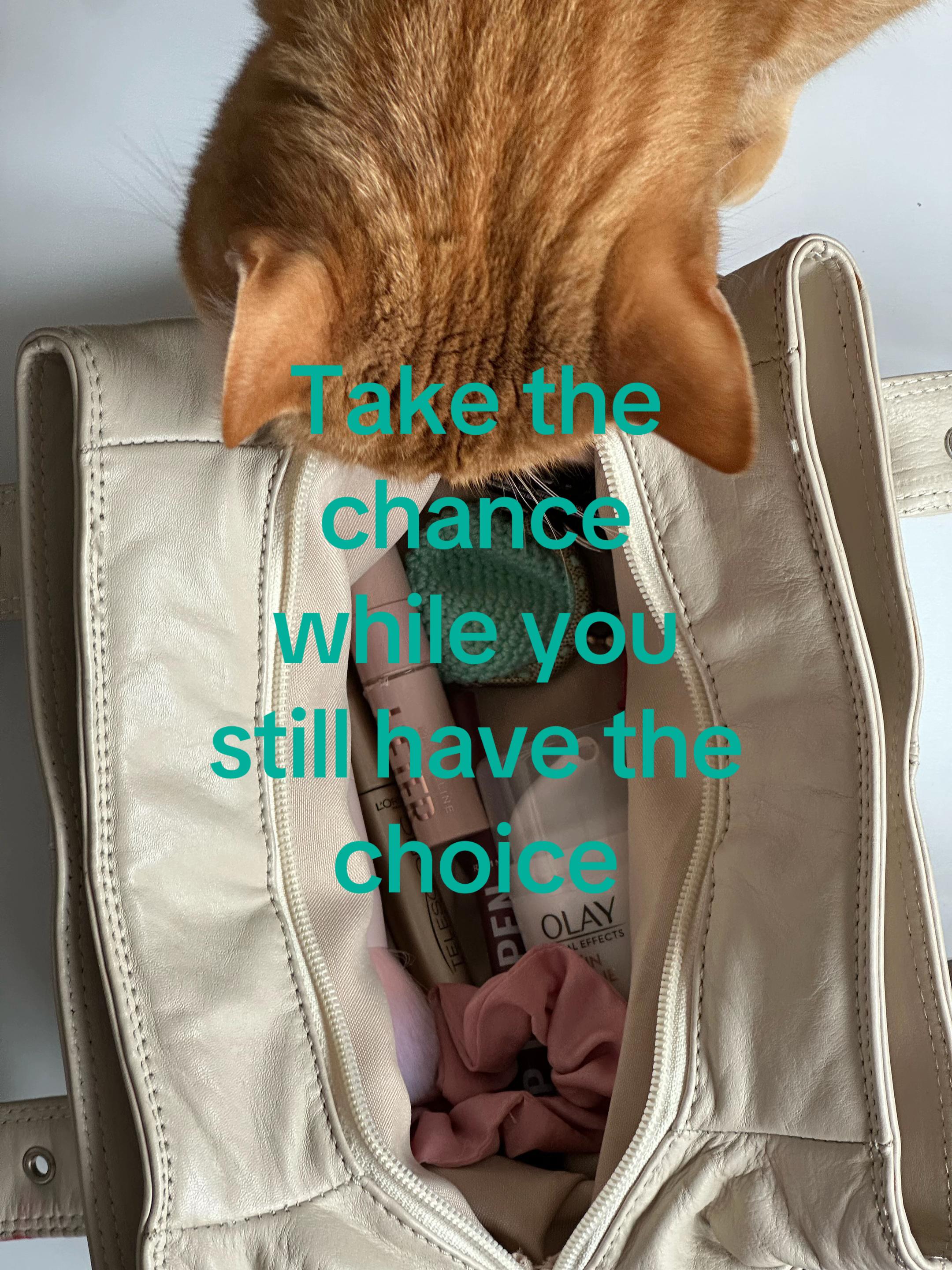 @𝒜𝓃𝒶𝓈𝓉𝒶𝓈𝒾𝒿𝒶