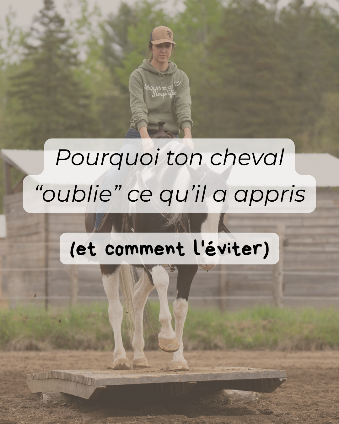 @Rose-alie St-hilaire - Coach🐴