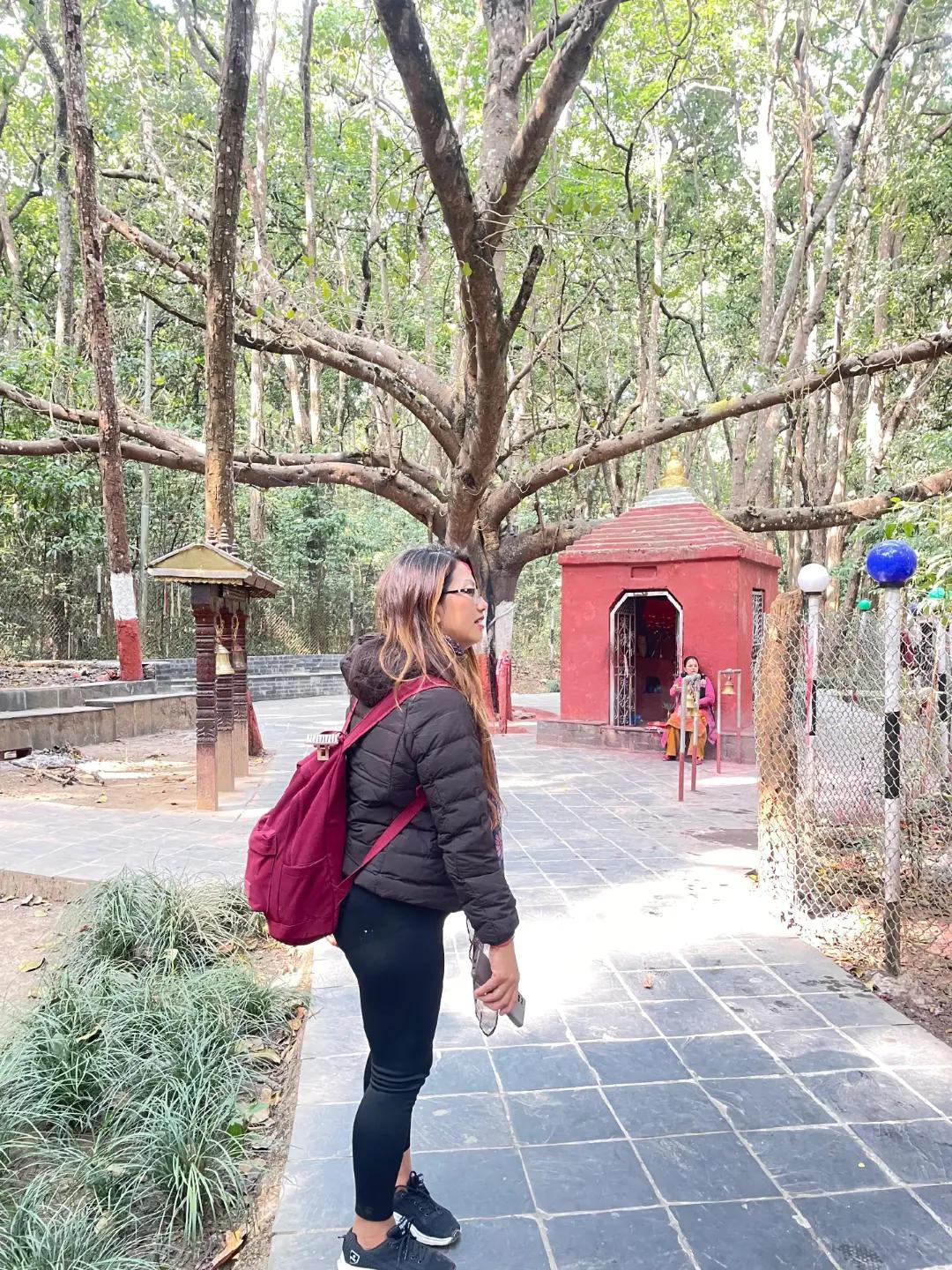 @Dilu Thapa Magar