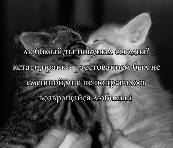 @лирика💮