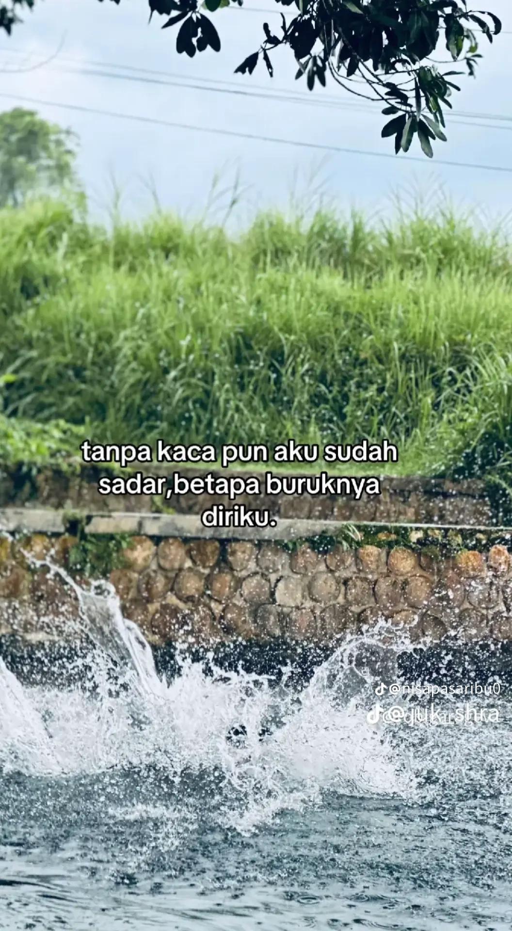 @amang borumudon maen🤪