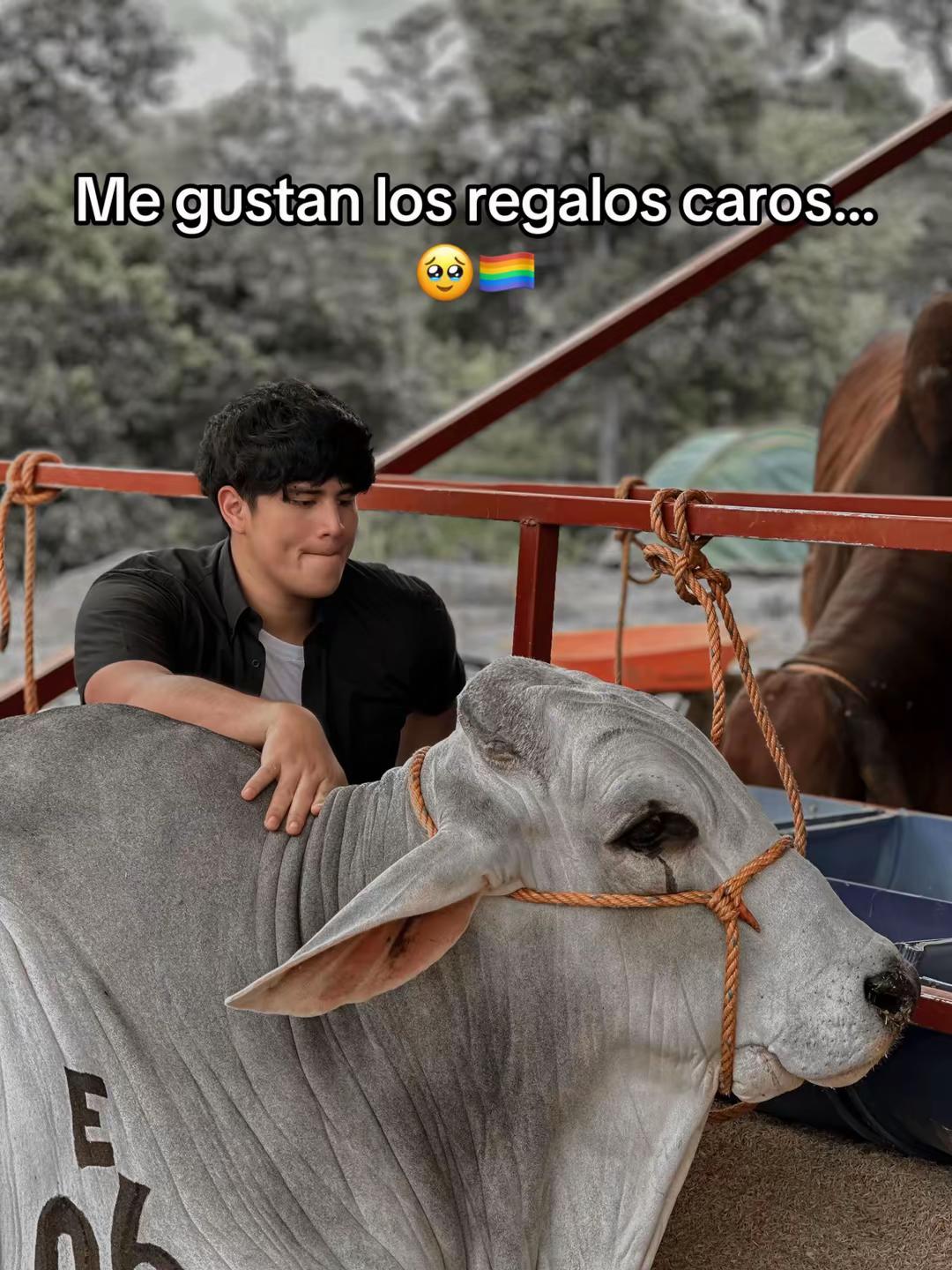 @Jos&eacute; Rivadeneira 🦁