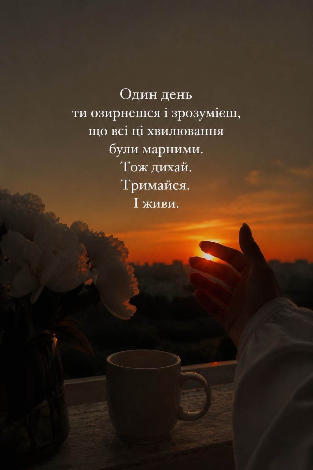 @🕊️🤍