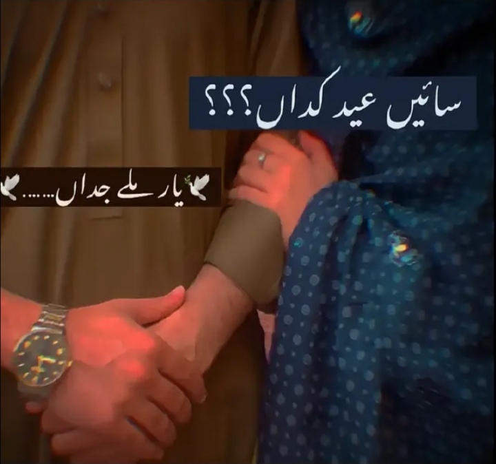 @haider sader