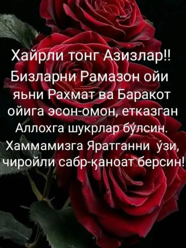 @ЗЕБО 24