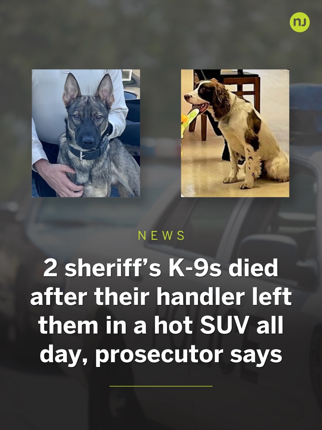 @NJ.com | New Jersey News