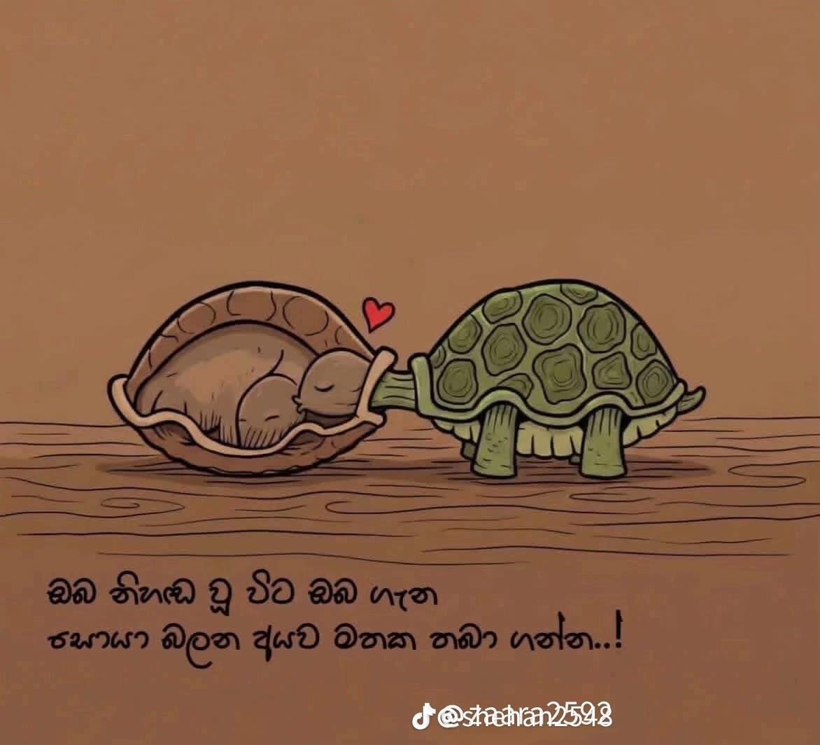 @Dinithi Anjana💞&hearts;️