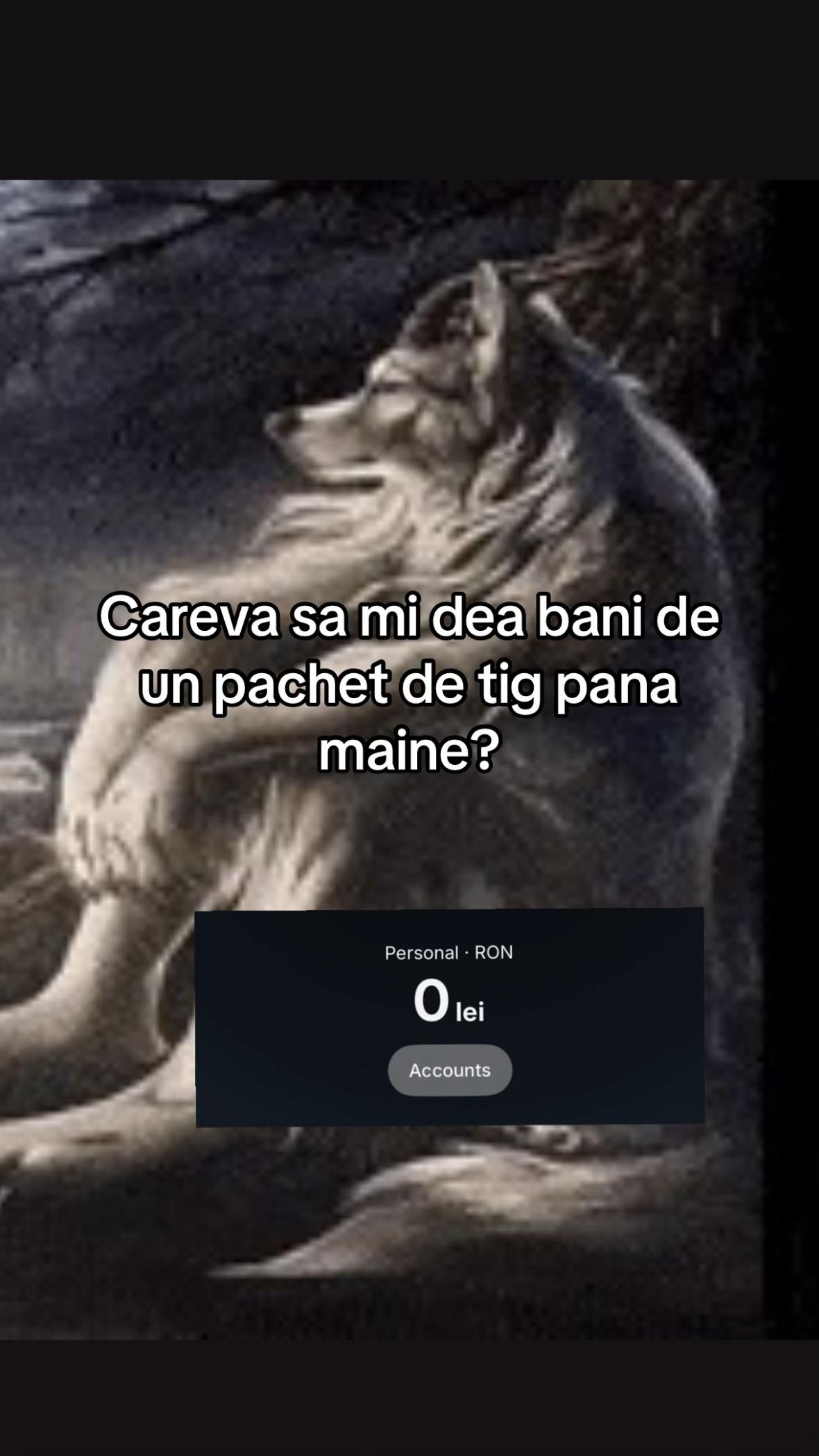 @slbzdecrevedia