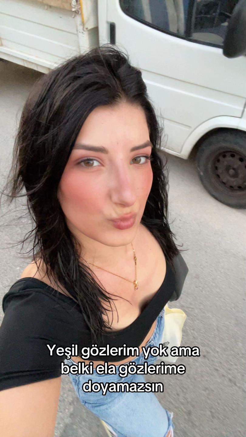 @ldicle0