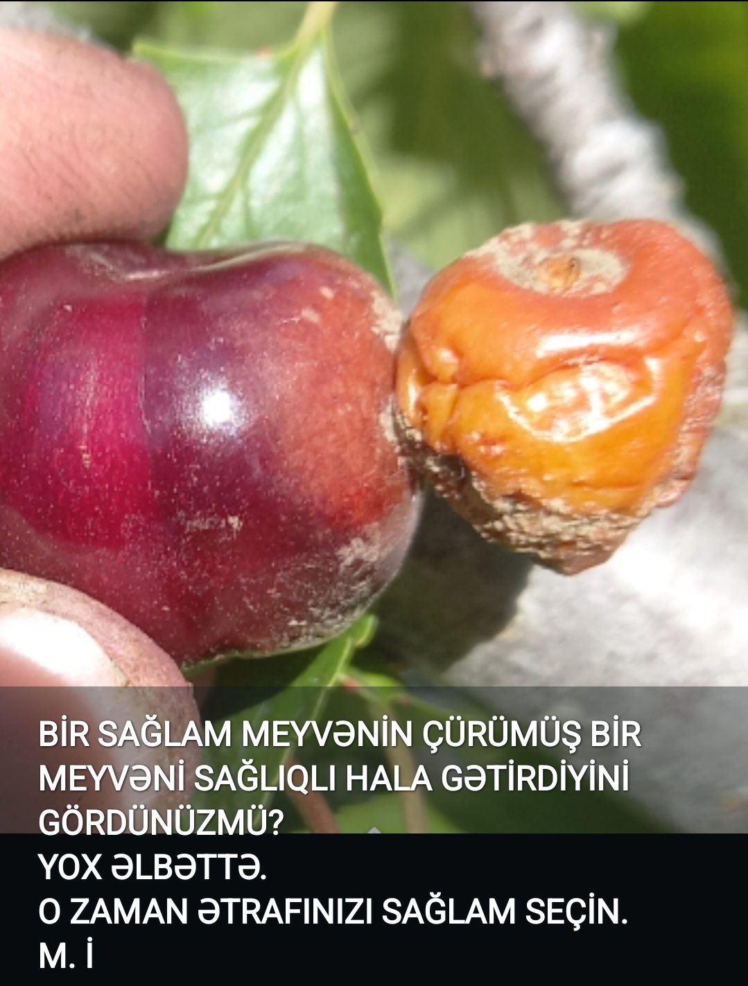 @L A &Ccedil; I N  041