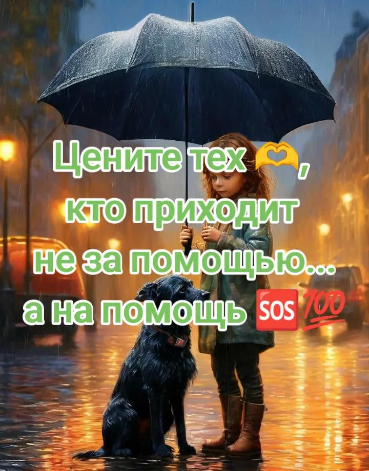 @Екатерина 😊