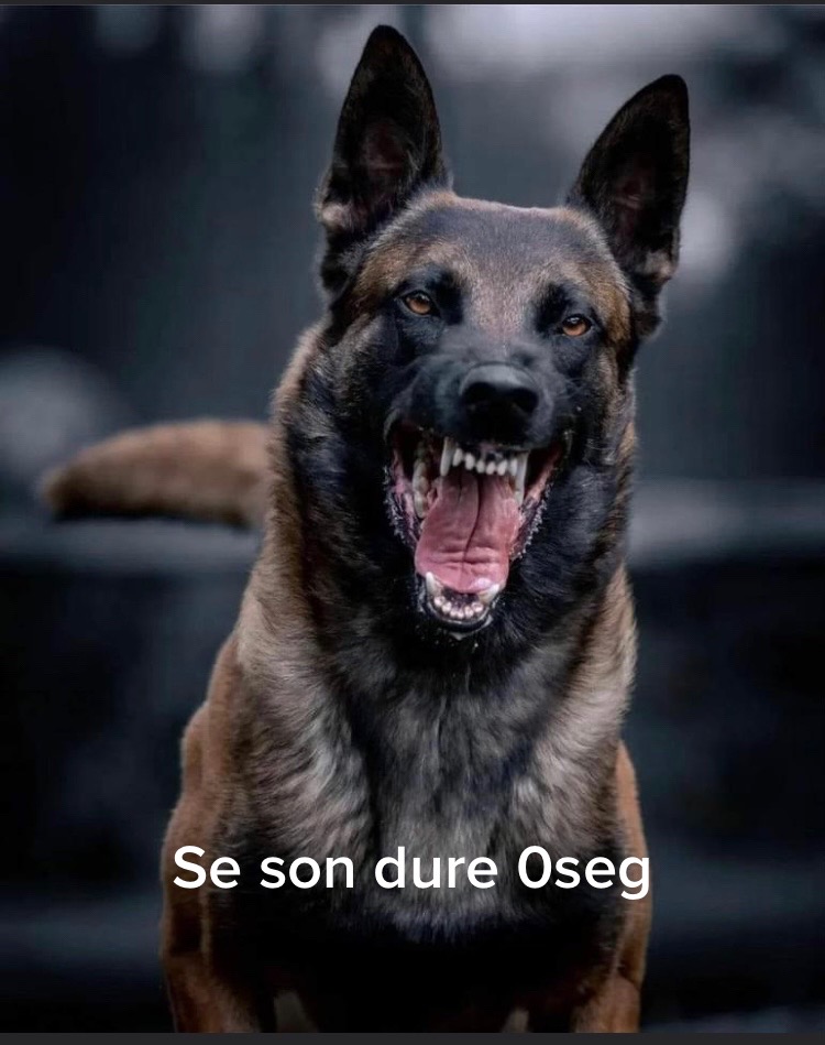 @Doogbinks
