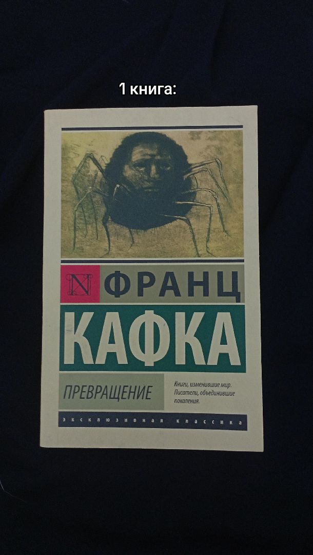 @Napimus