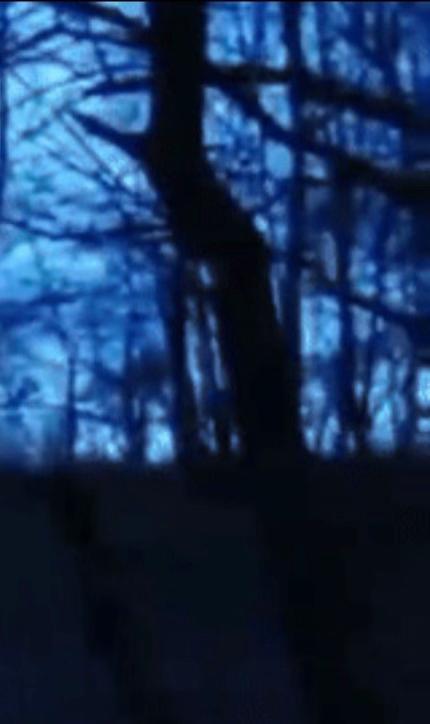 @⦻ Nina the killer ⦻