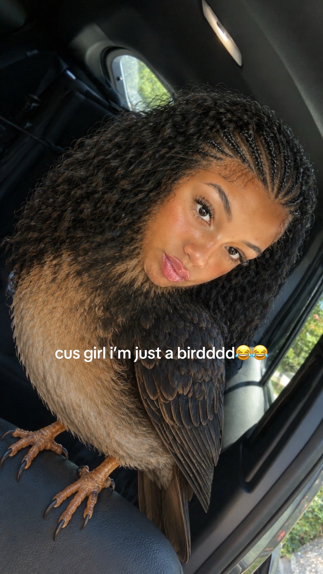 @shaimonroe