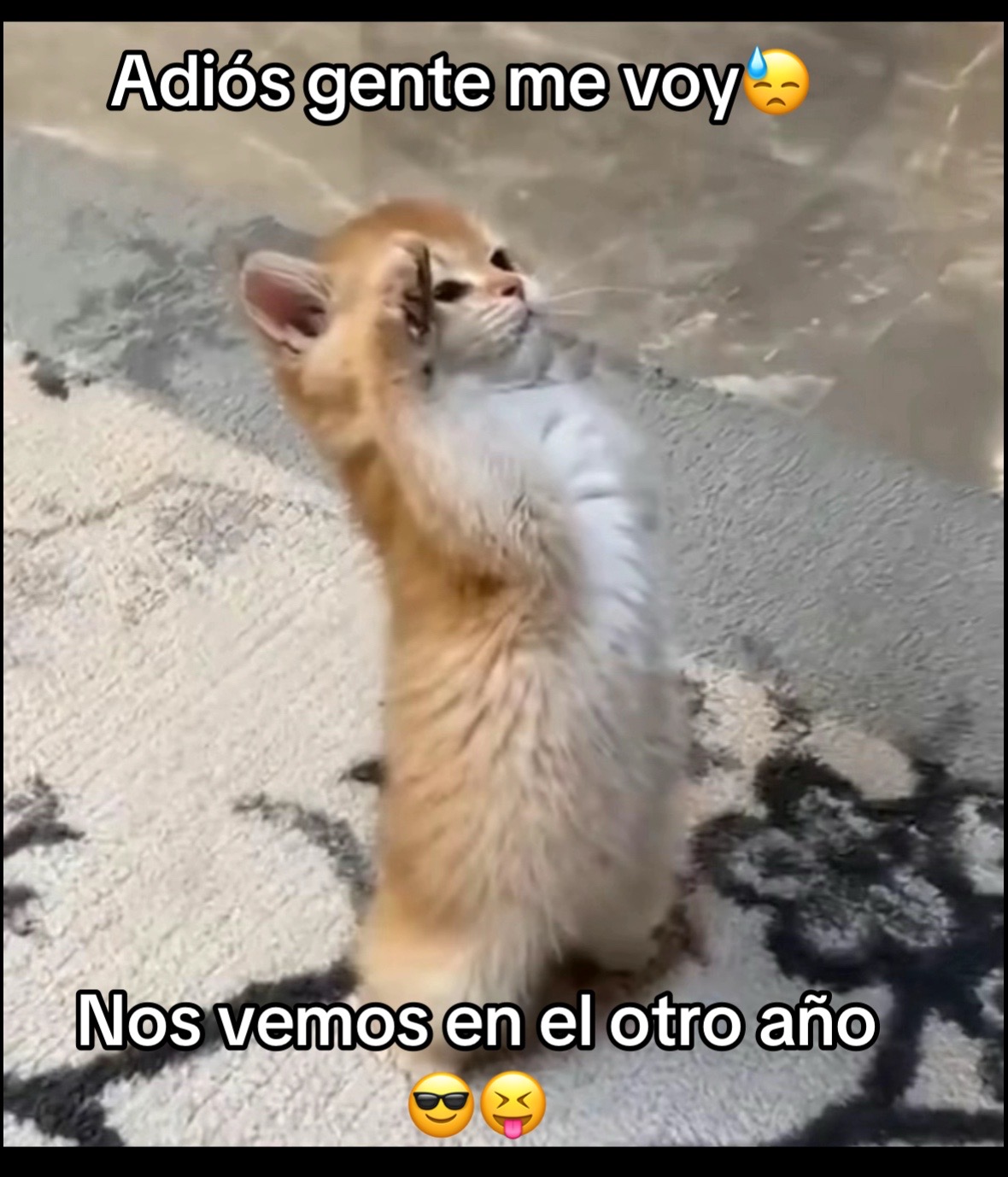 @moonlight11t